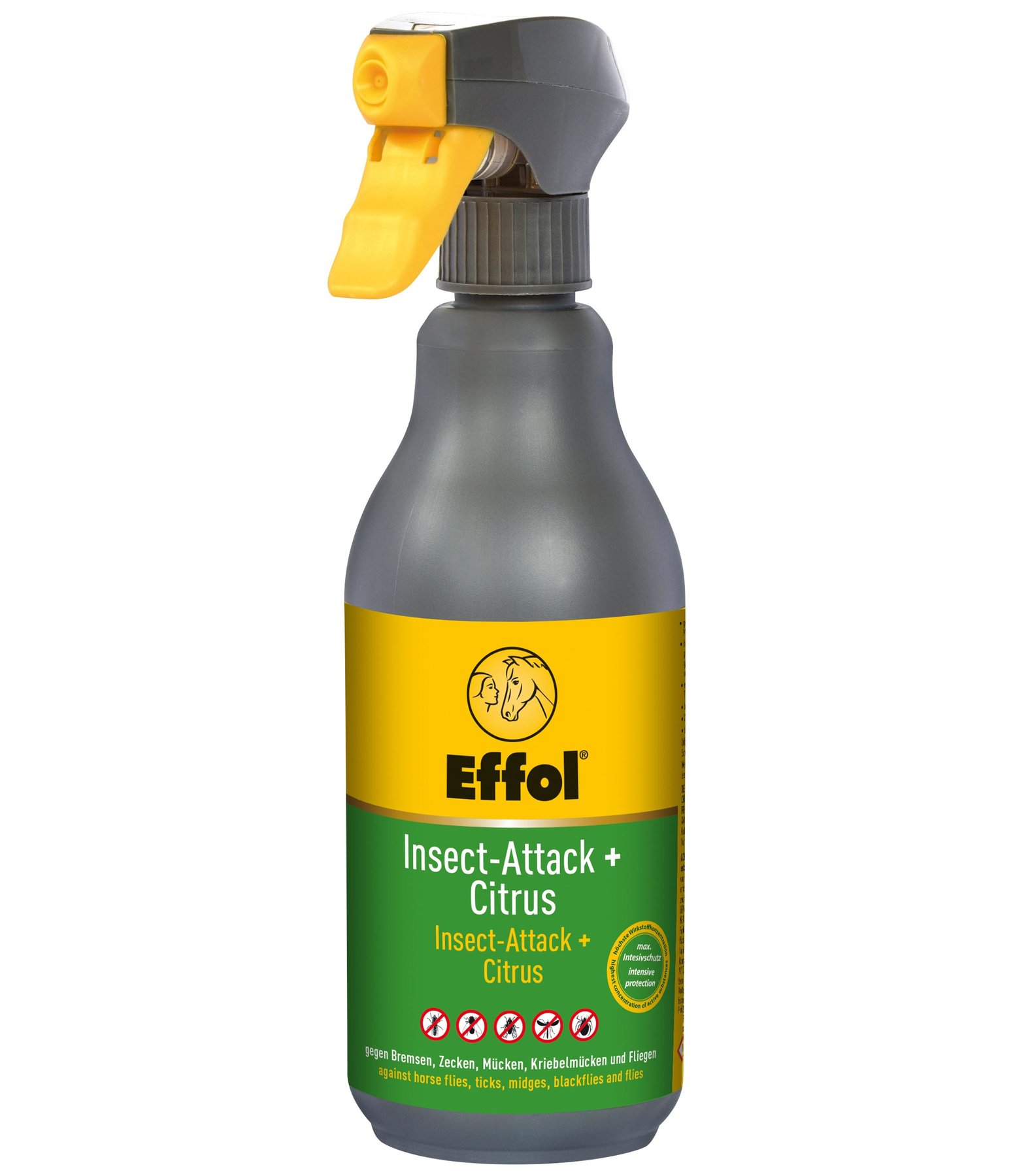 Insect Attack + Citrus