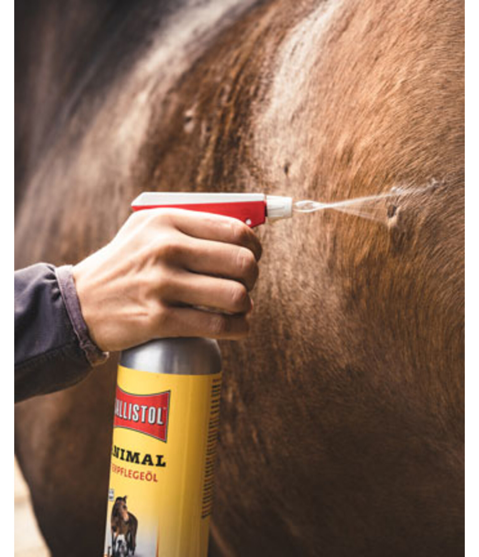 Handspr�her Ballistol