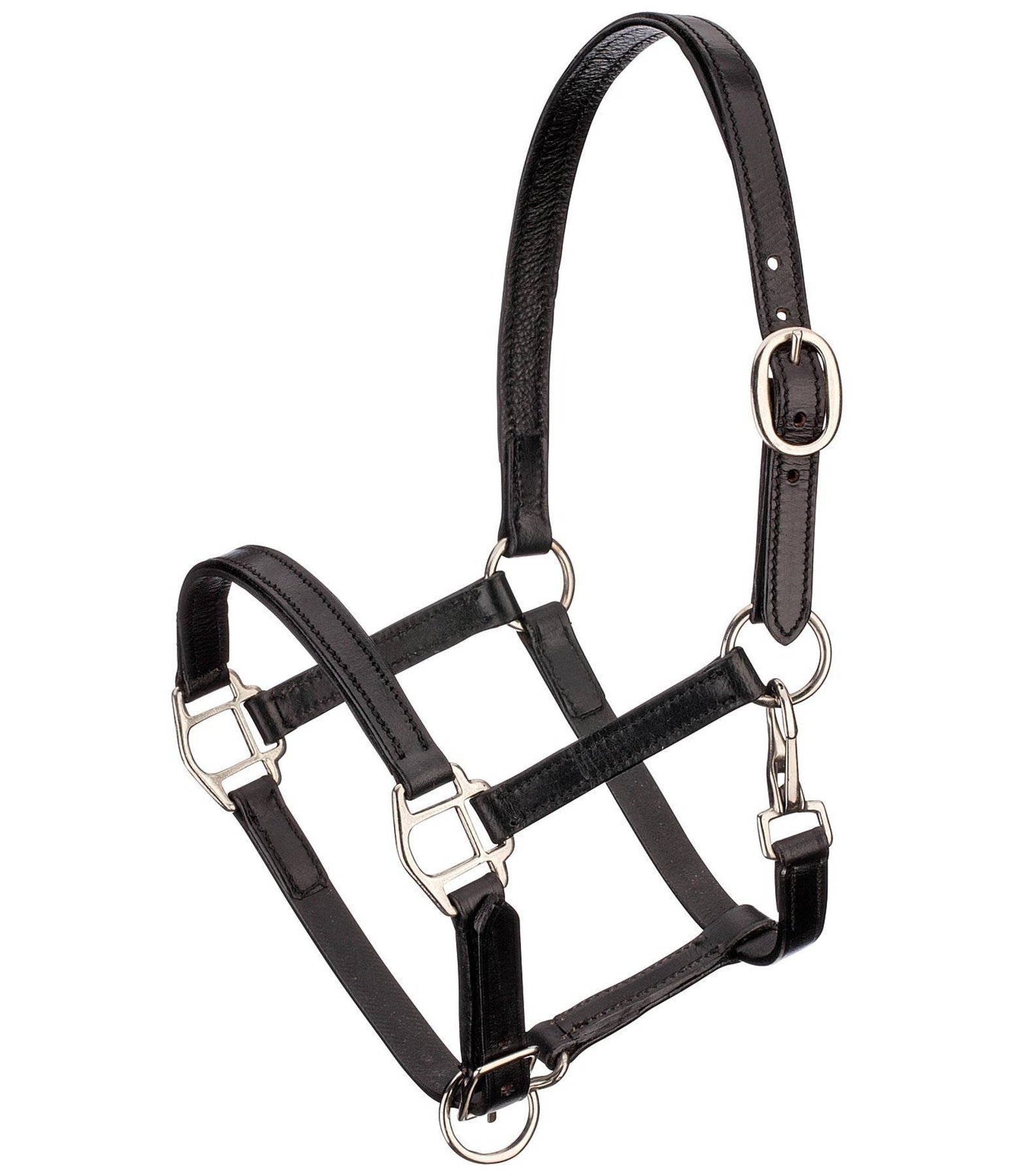 fohlenhalfter soft pony fohlenhalfter kramer pferdesport