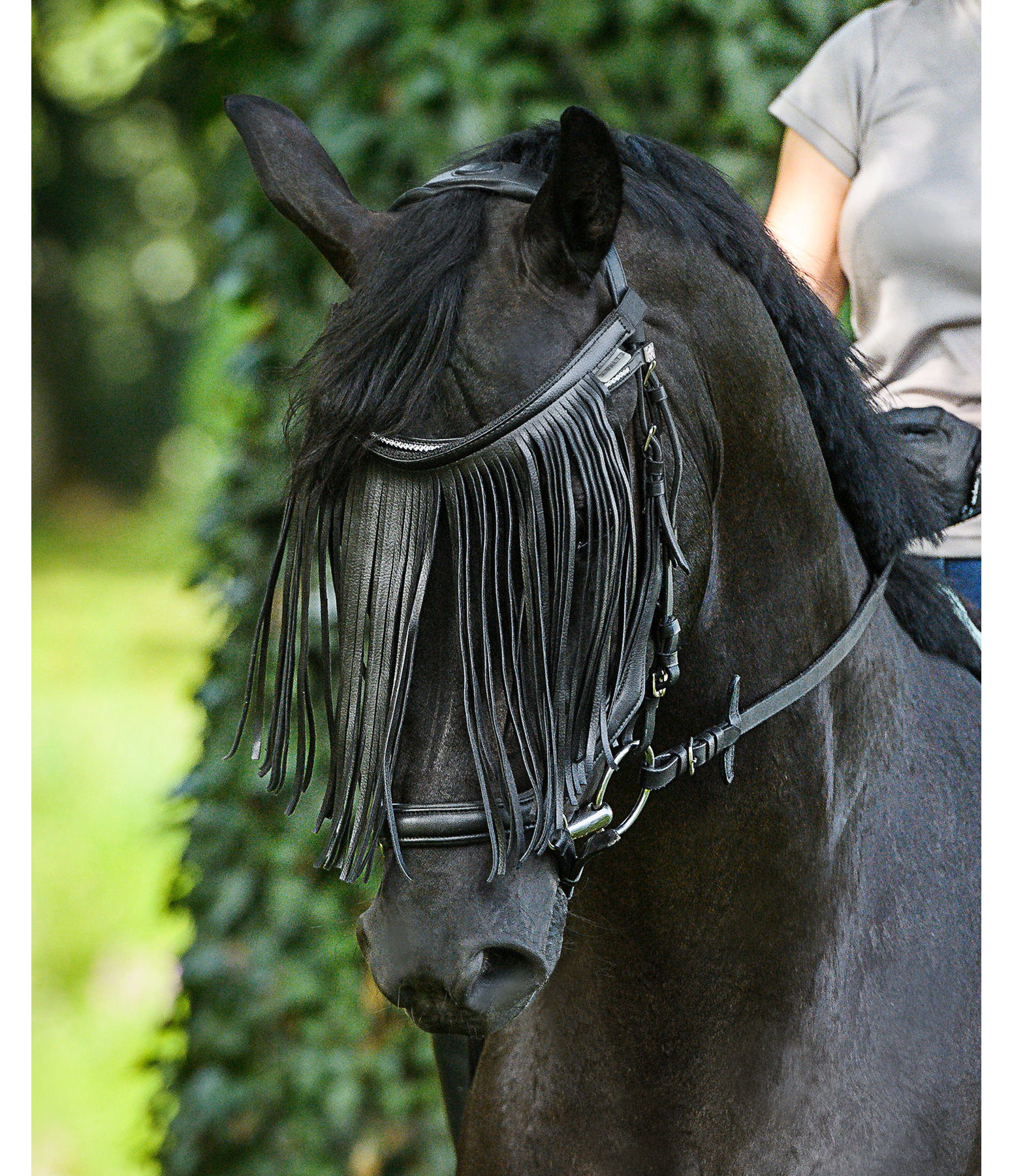 Fliegenfransen Elegance