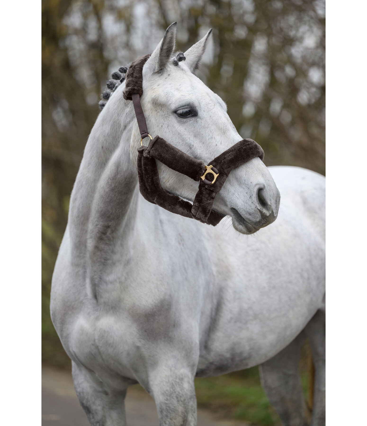 Teddyfleece-Halfter Protection