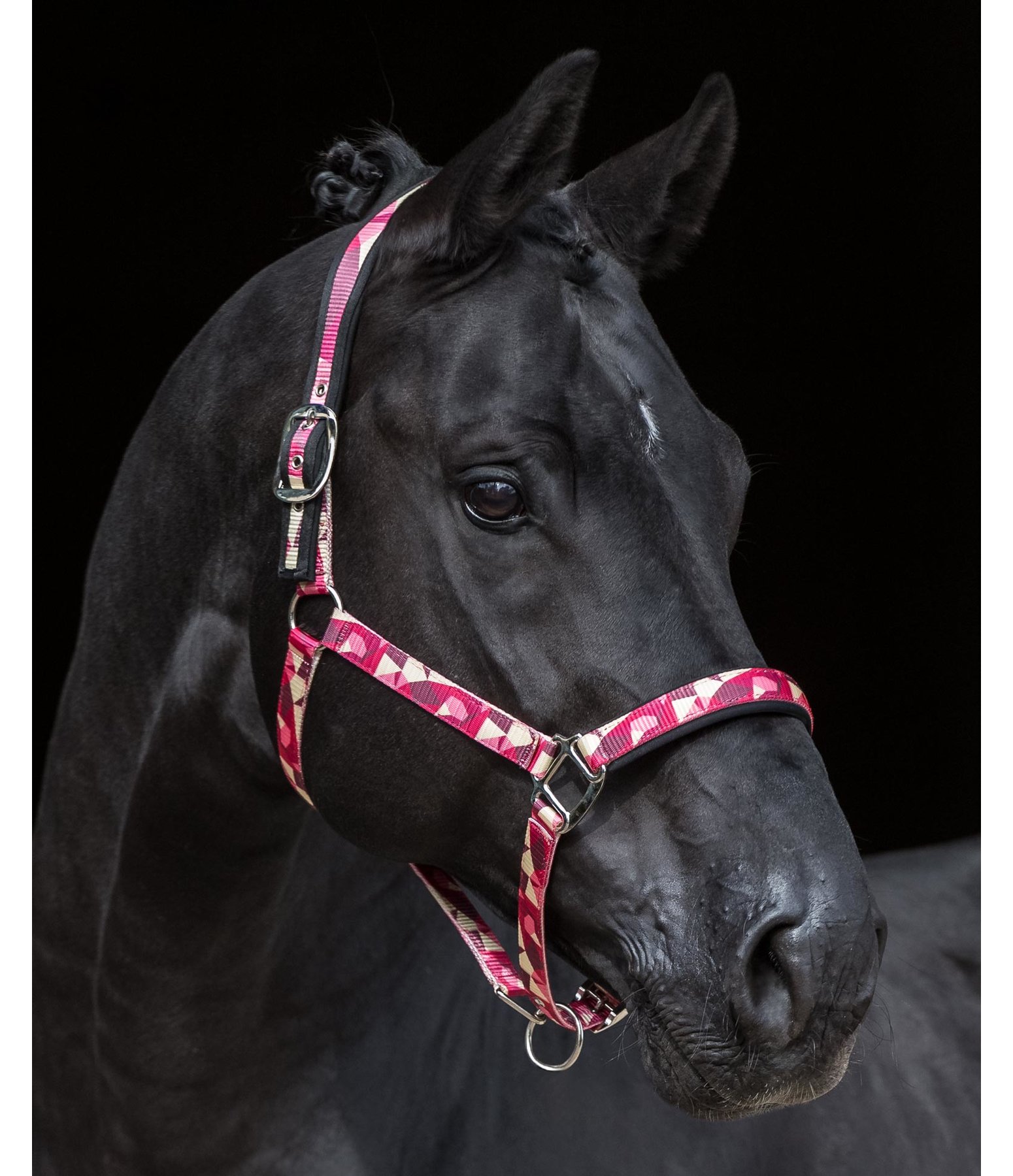 Anatomical-Neck-Relax Halfter Geometrical