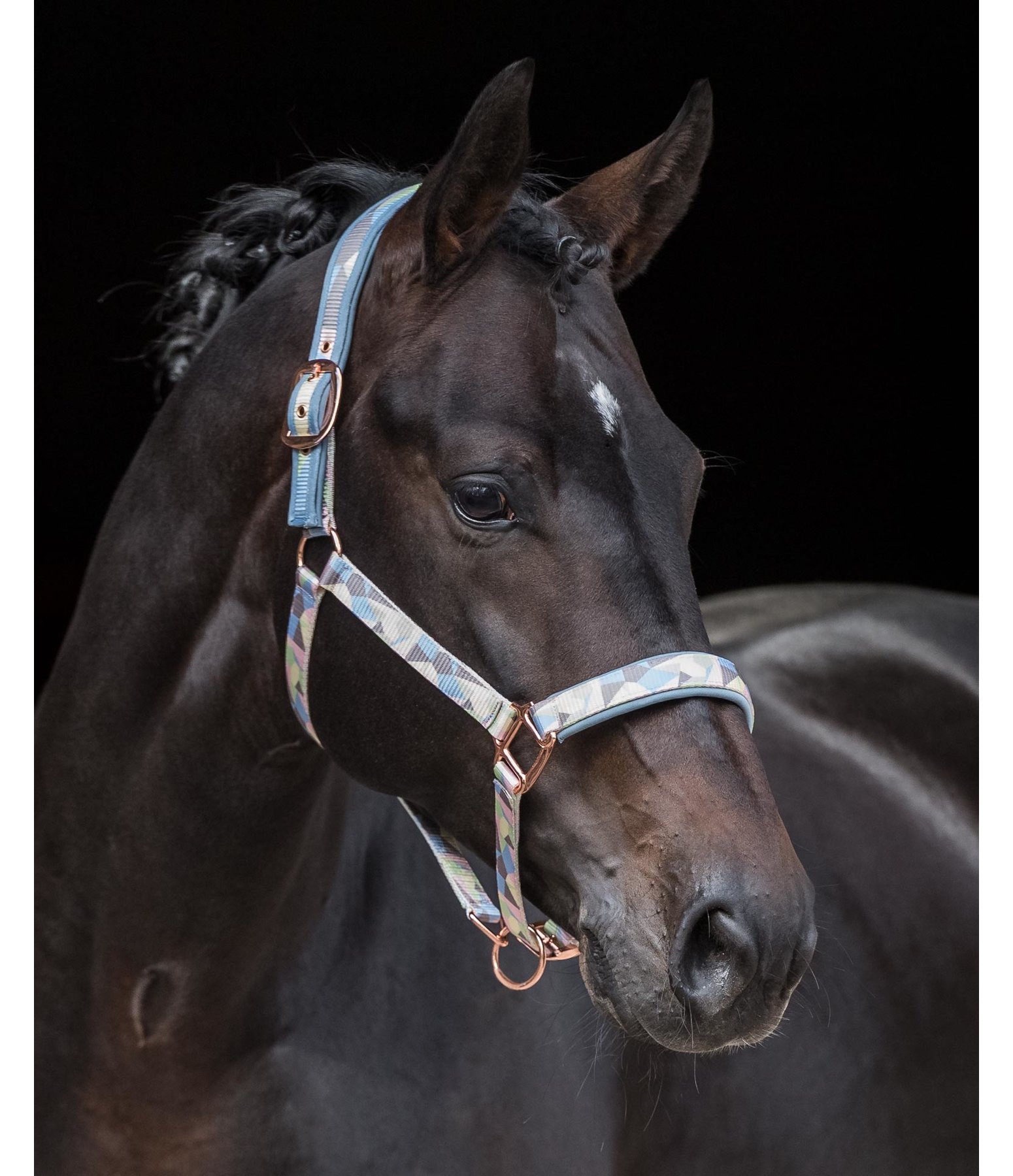 Anatomical-Neck-Relax Halfter Geometrical