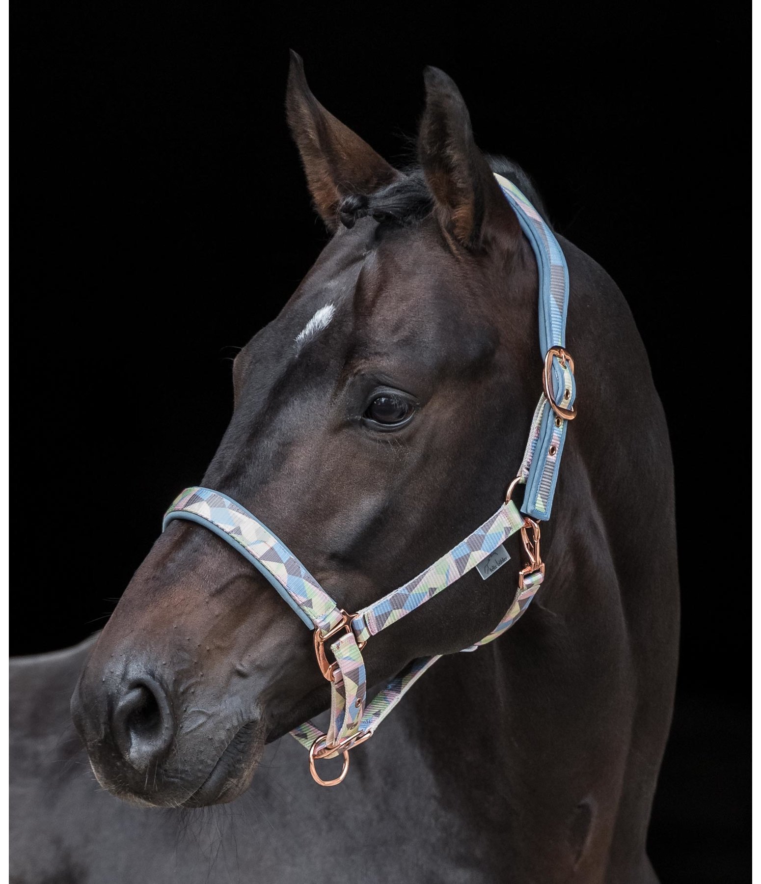Anatomical-Neck-Relax Halfter Geometrical