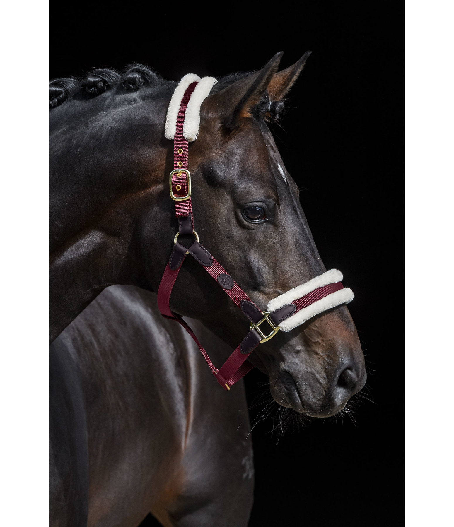 Teddyfleece-Halfter Timeless Elegance