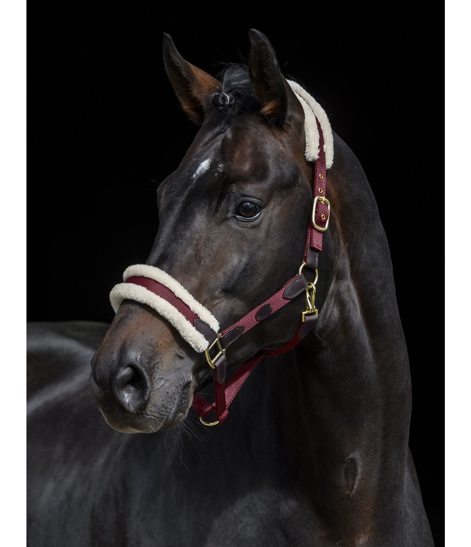 Teddyfleece-Halfter Timeless Elegance