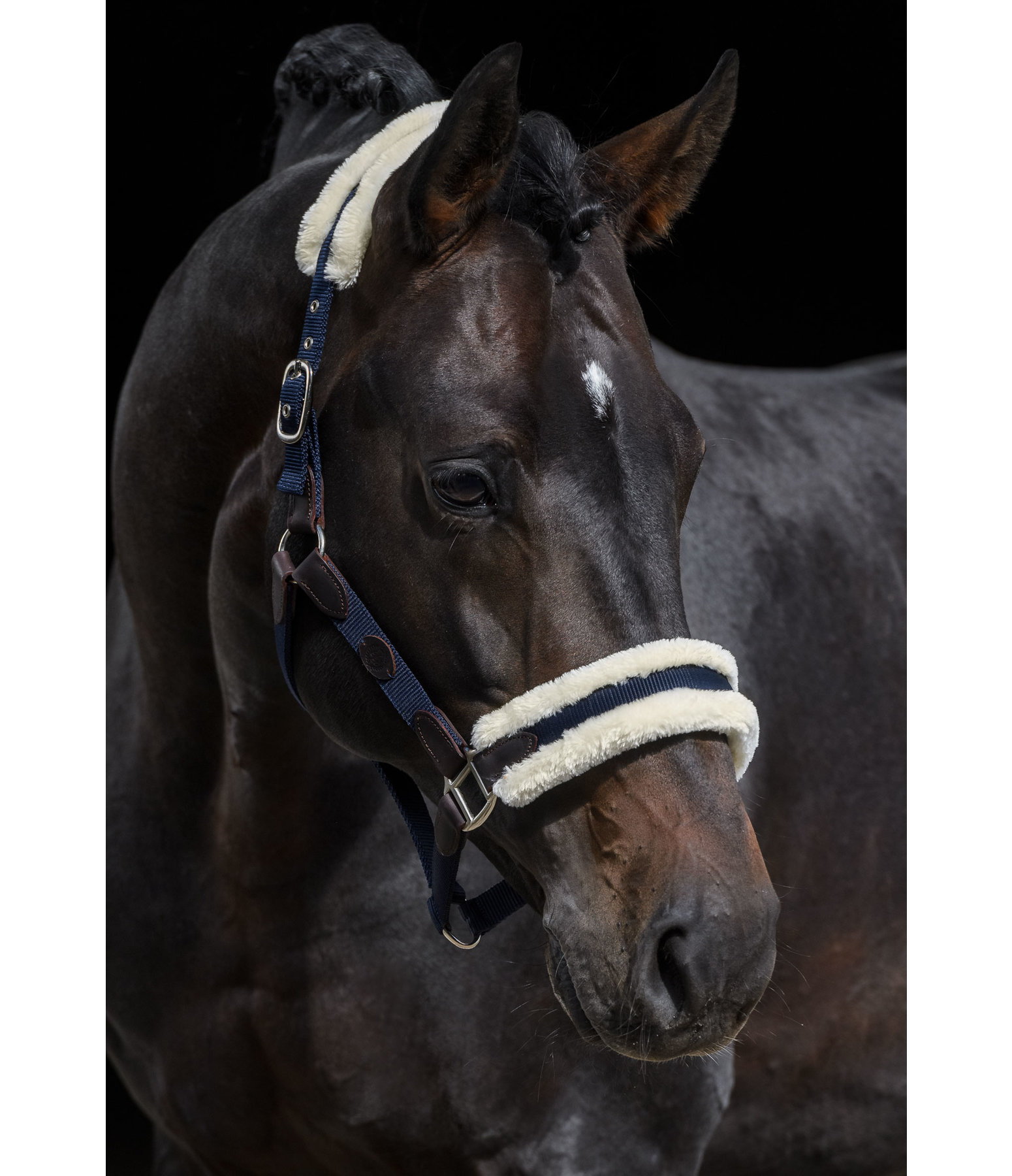 Teddyfleece-Halfter Timeless Elegance
