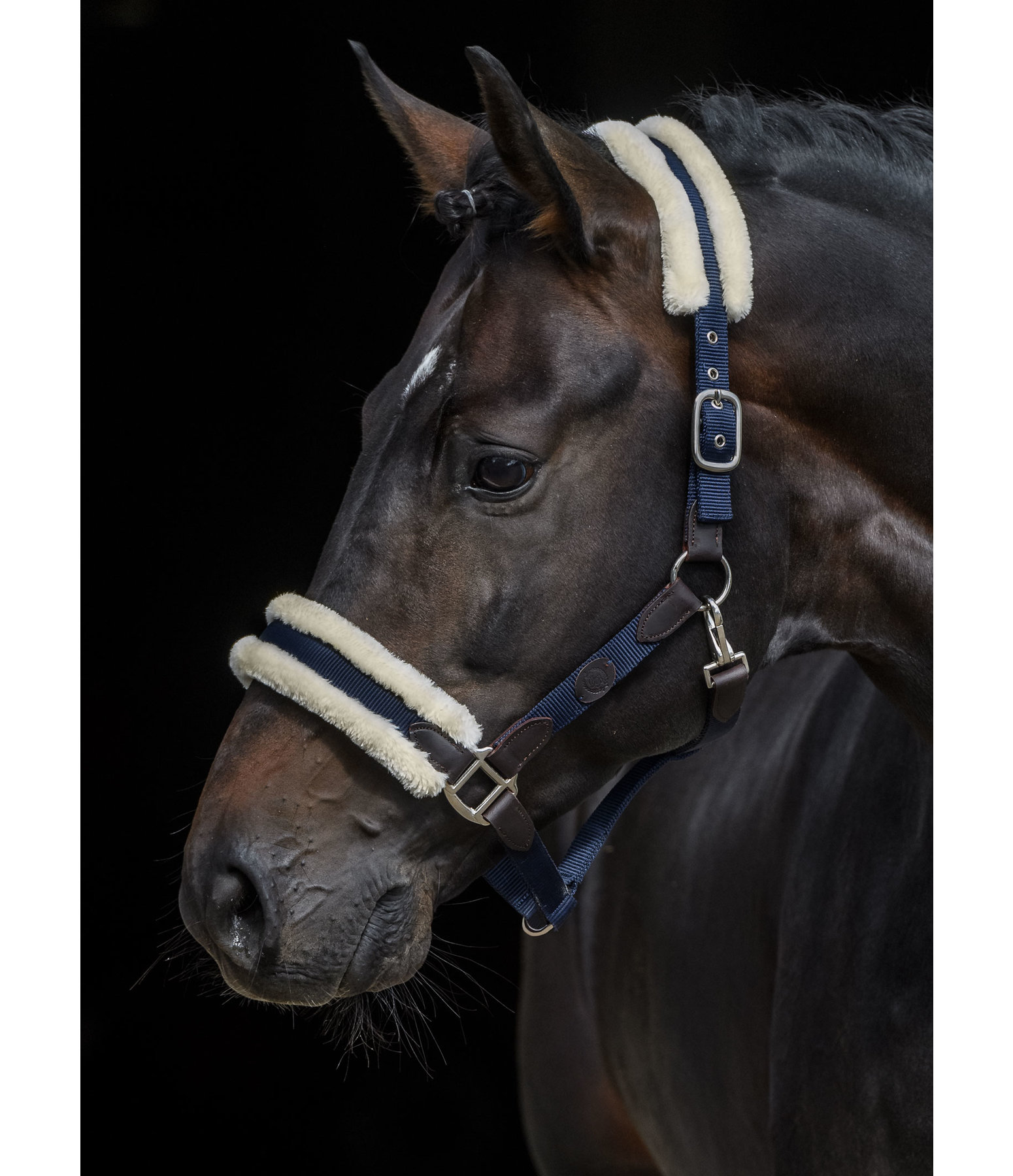 Teddyfleece-Halfter Timeless Elegance