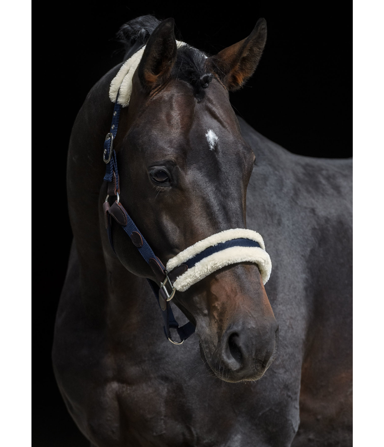 Teddyfleece-Halfter Timeless Elegance