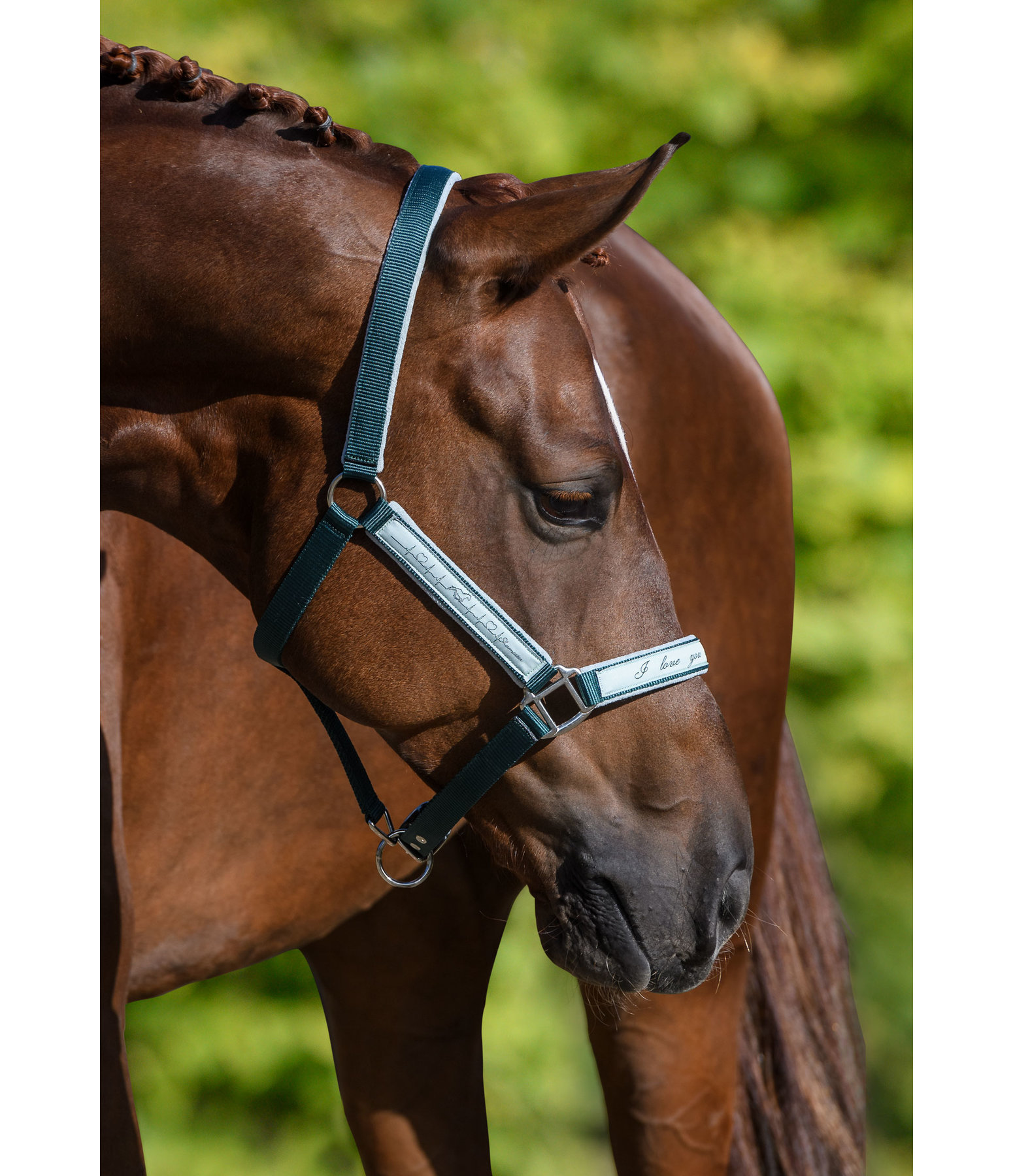 Halfter Hoofbeat