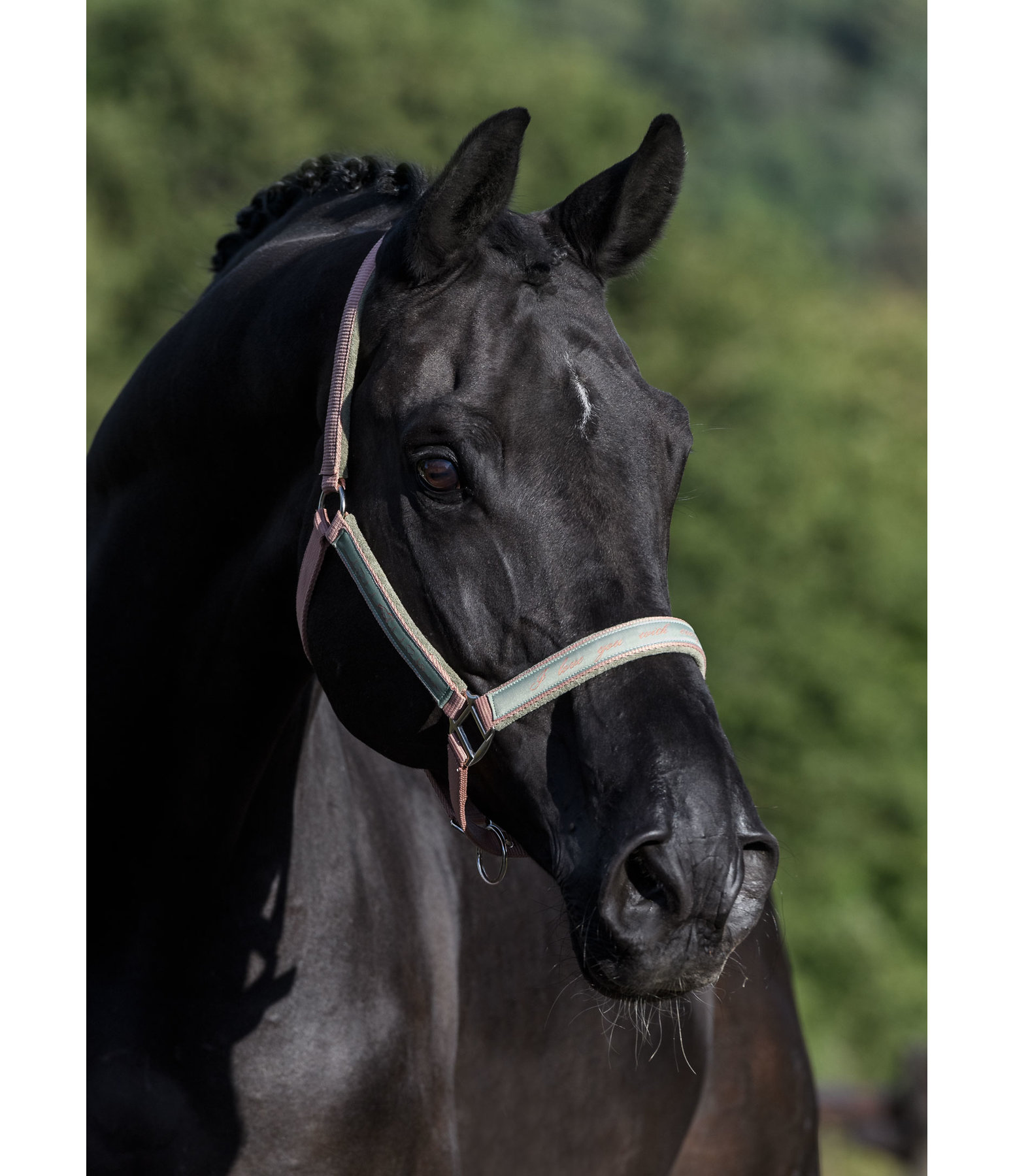 Halfter Hoofbeat
