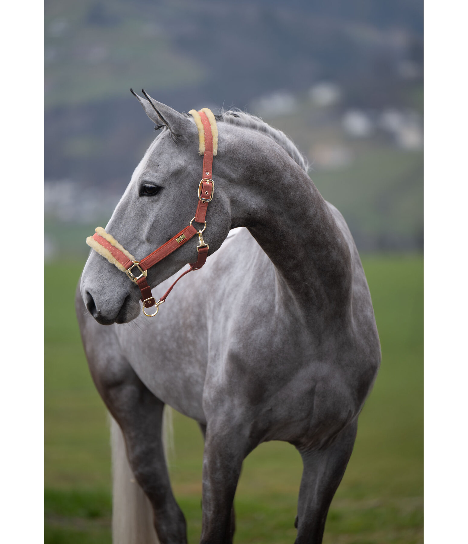 Halfter Sparkling II