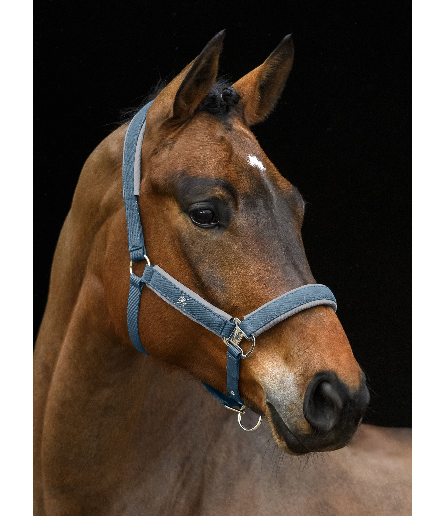 Halfter Glowing Midnight