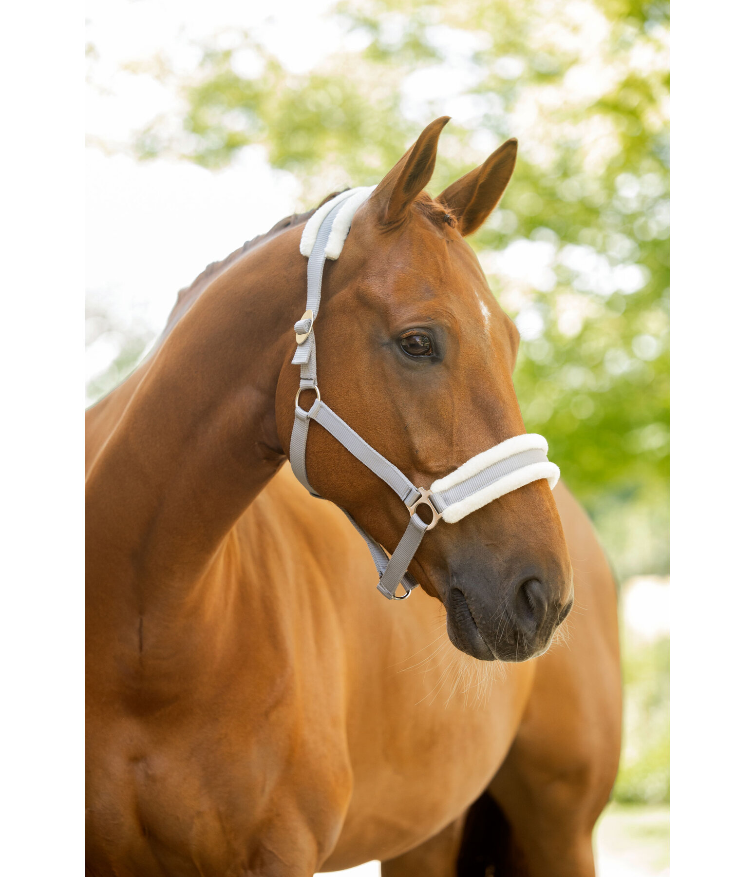 Teddyfleece-Halfter Superg�nstig III