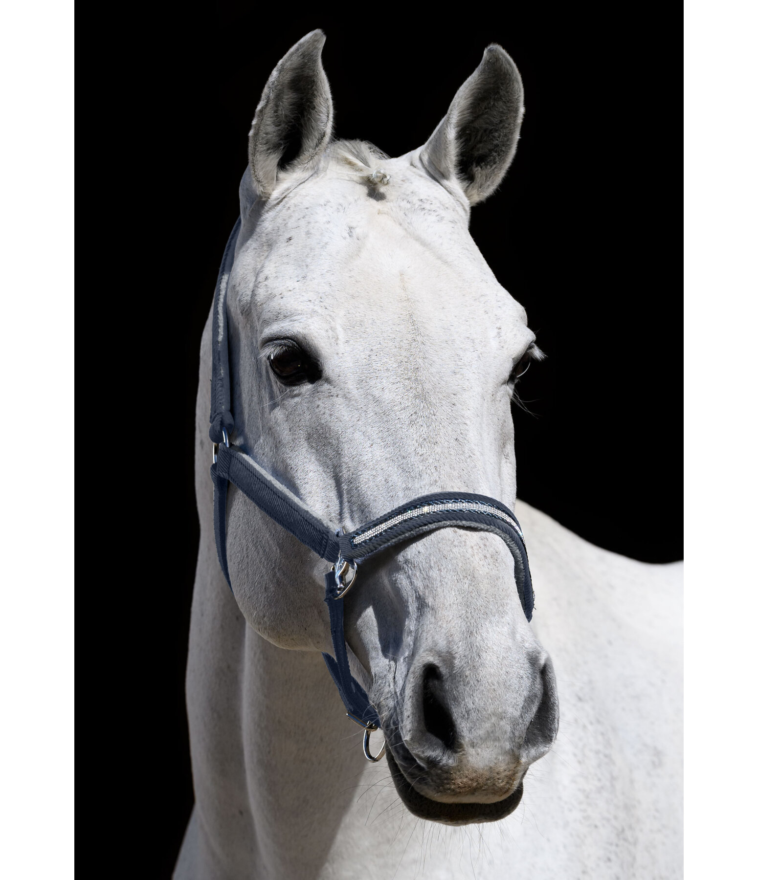 Halfter Cord & Glamour