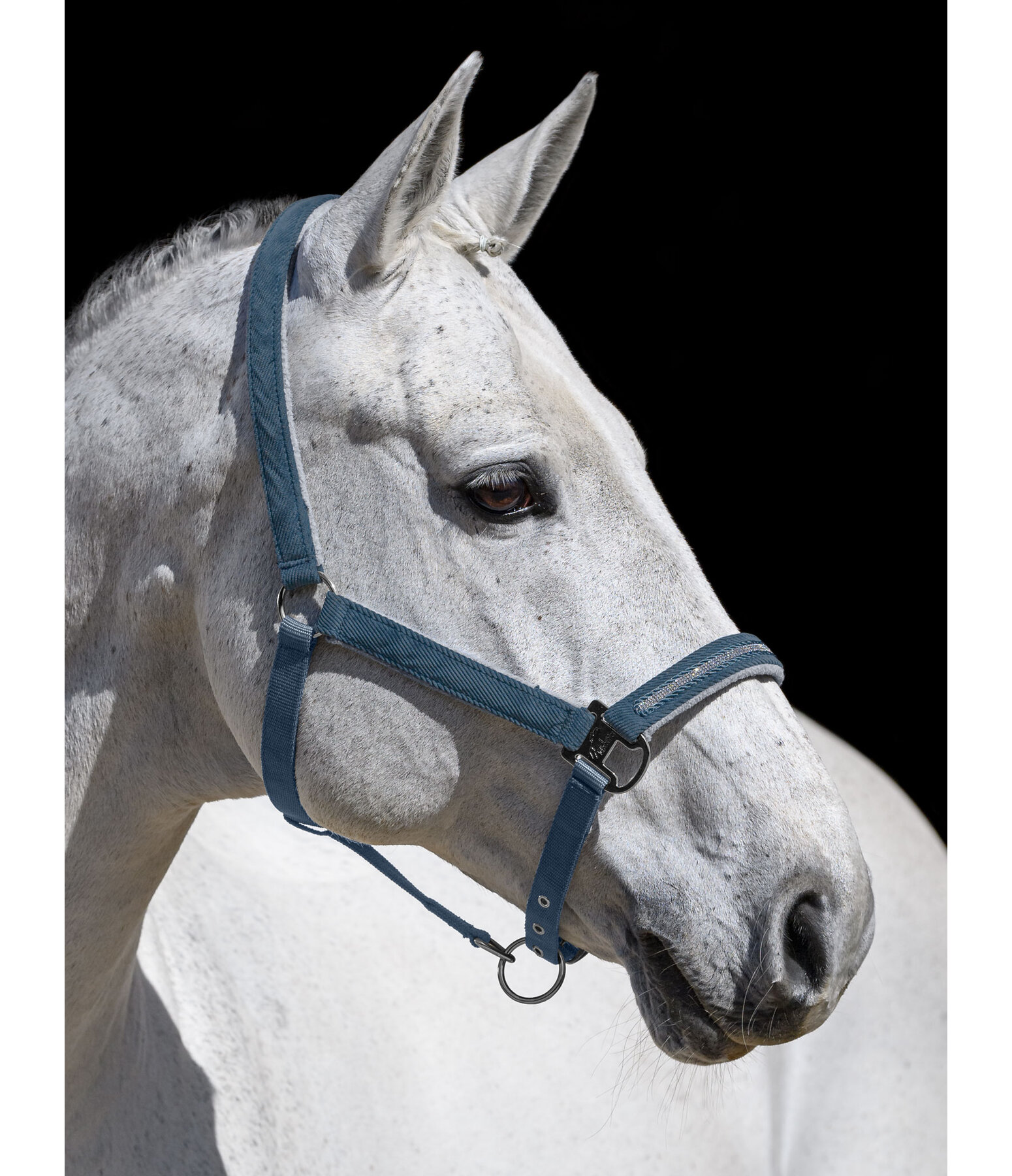Halfter Cord & Glamour