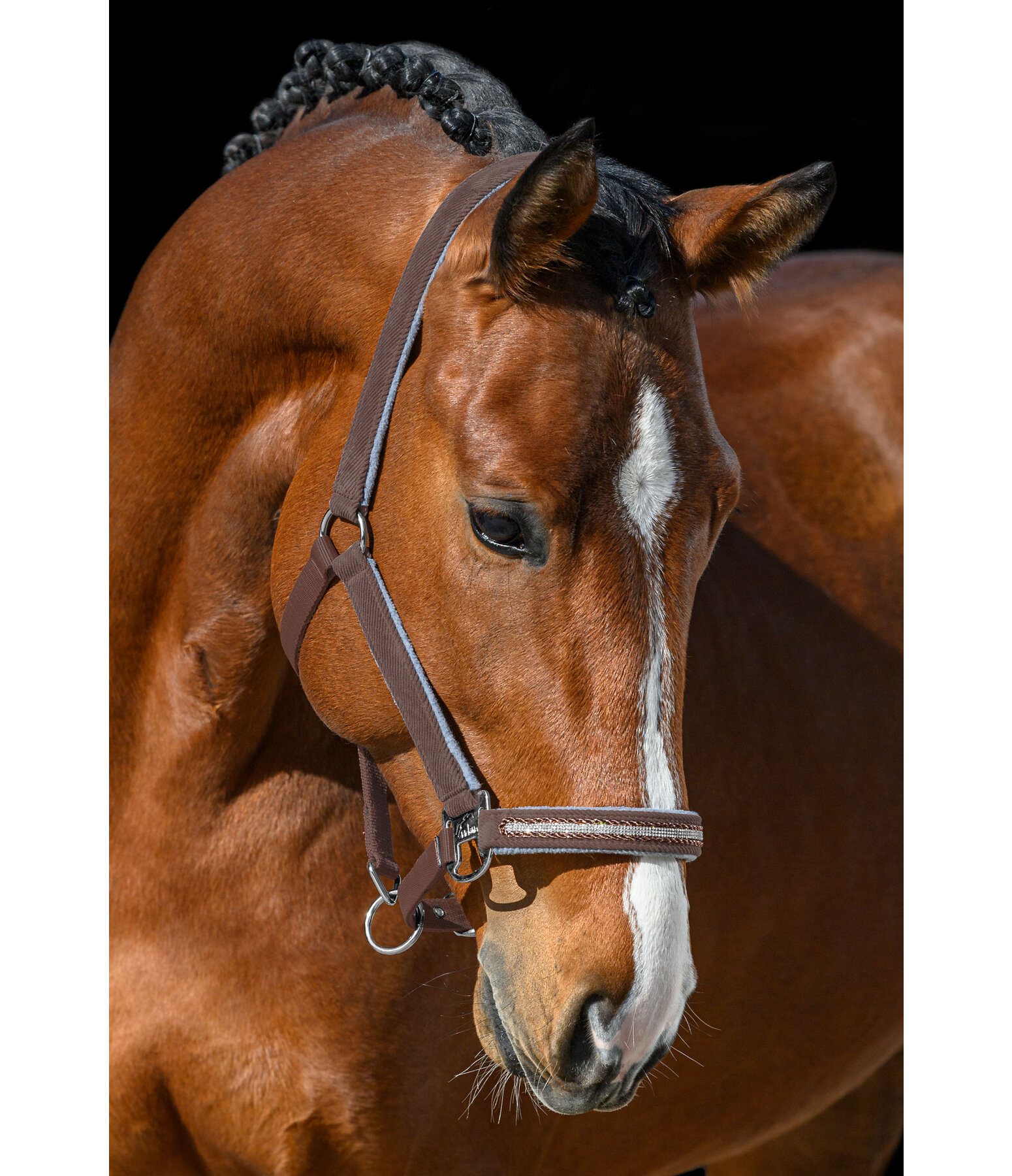 Halfter Cord & Glamour
