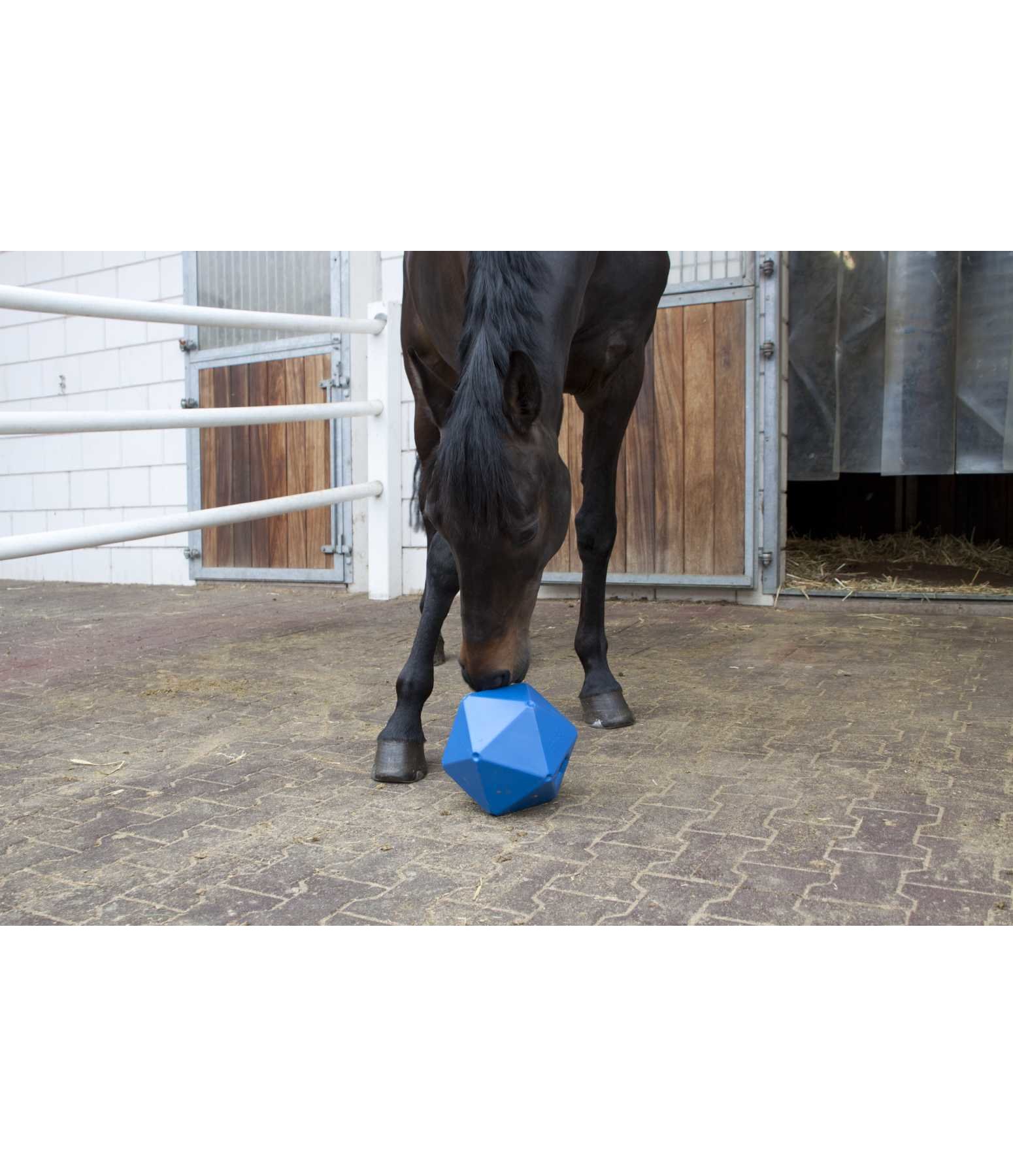Leckerli- und Beschäftigungsball für Pferde