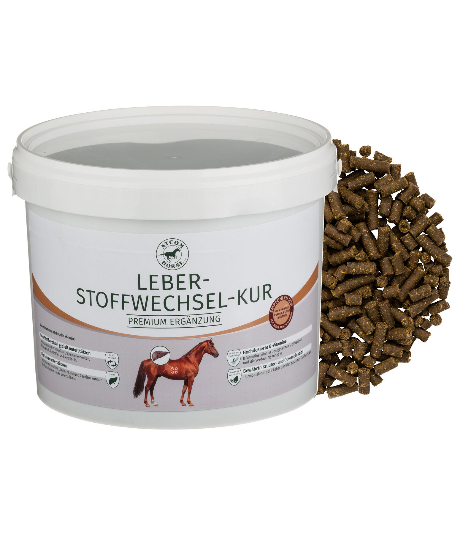 LEBER-STOFFWECHSEL-KUR
