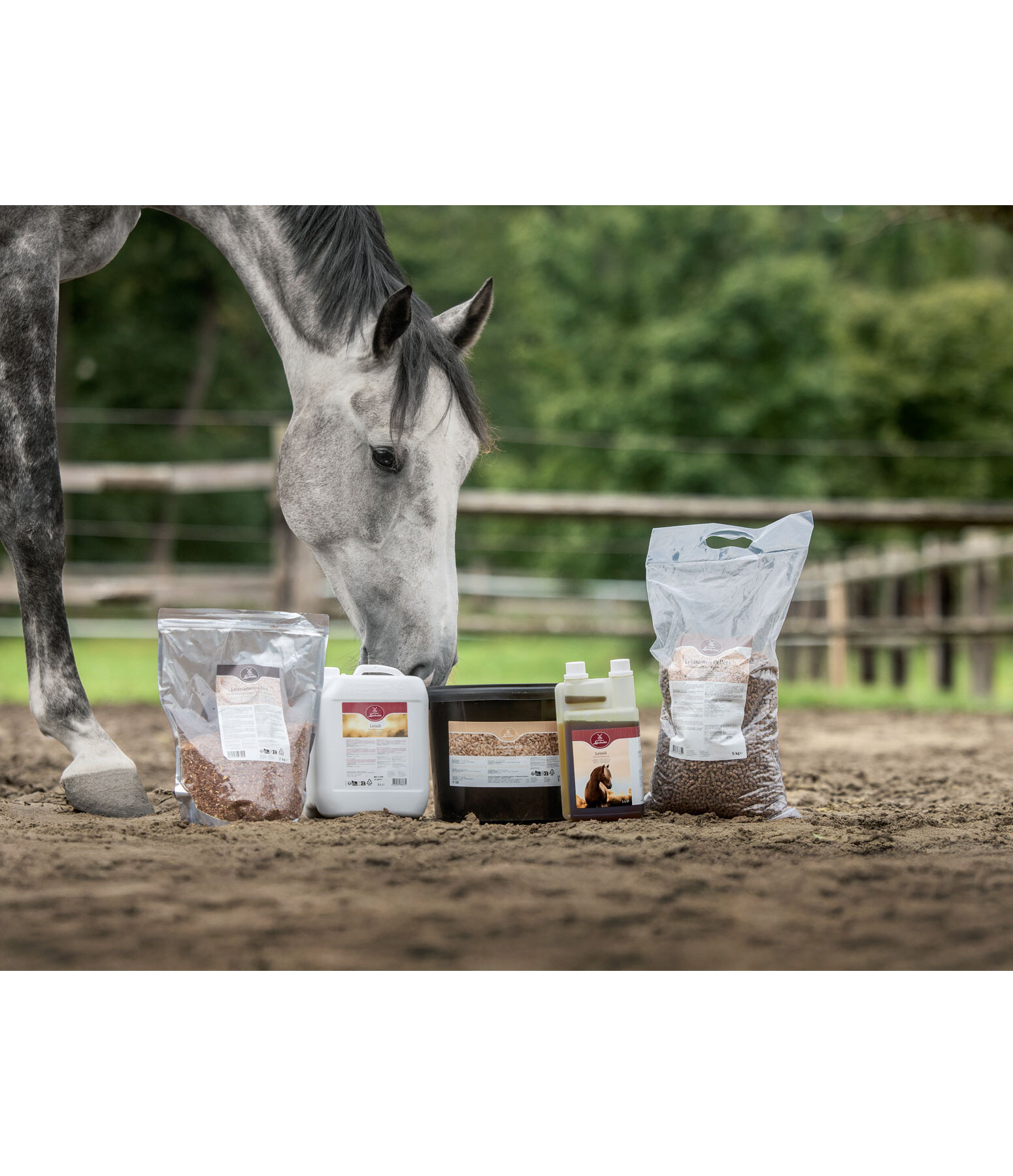 Lein�l f�r Pferde