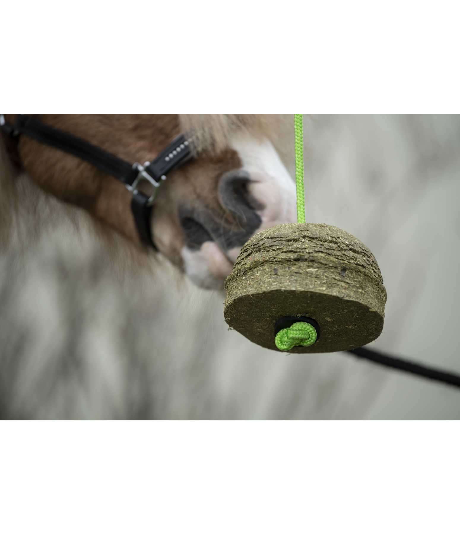 Heuball Natur