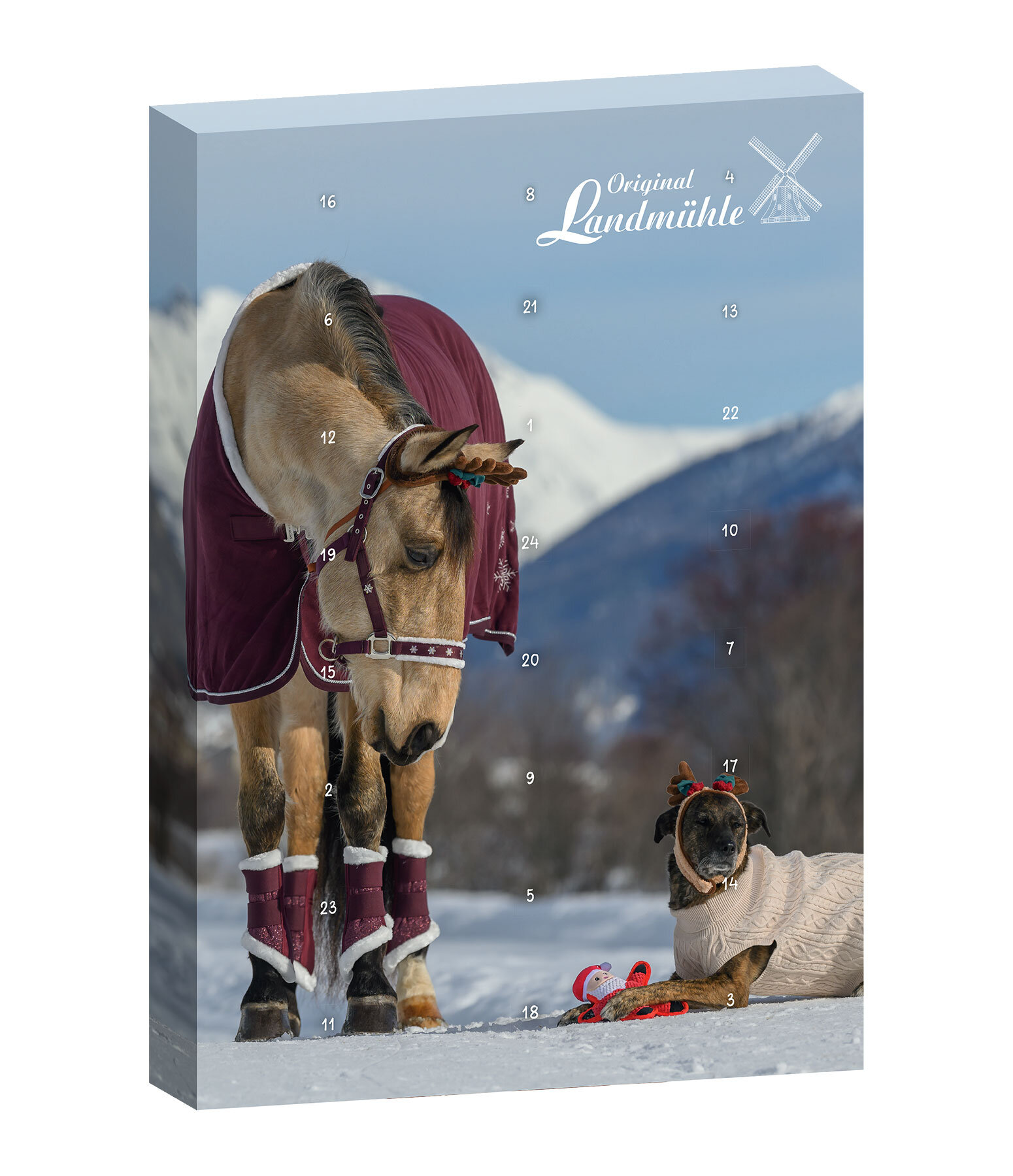 Adventskalender für Pferde - Pferdefutter and Zusatzfutter