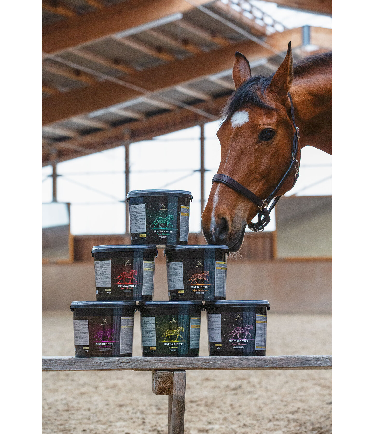 Mineralfutter Senior Premium