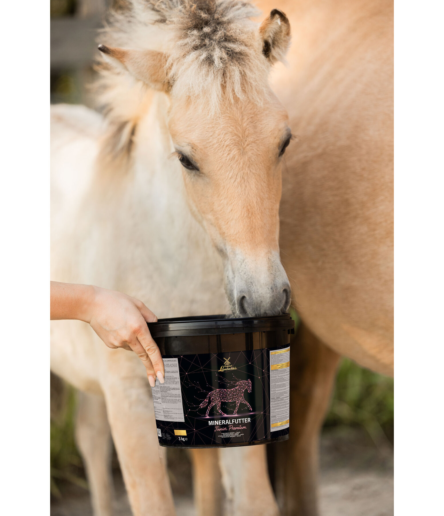 Mineralfutter Junior Premium