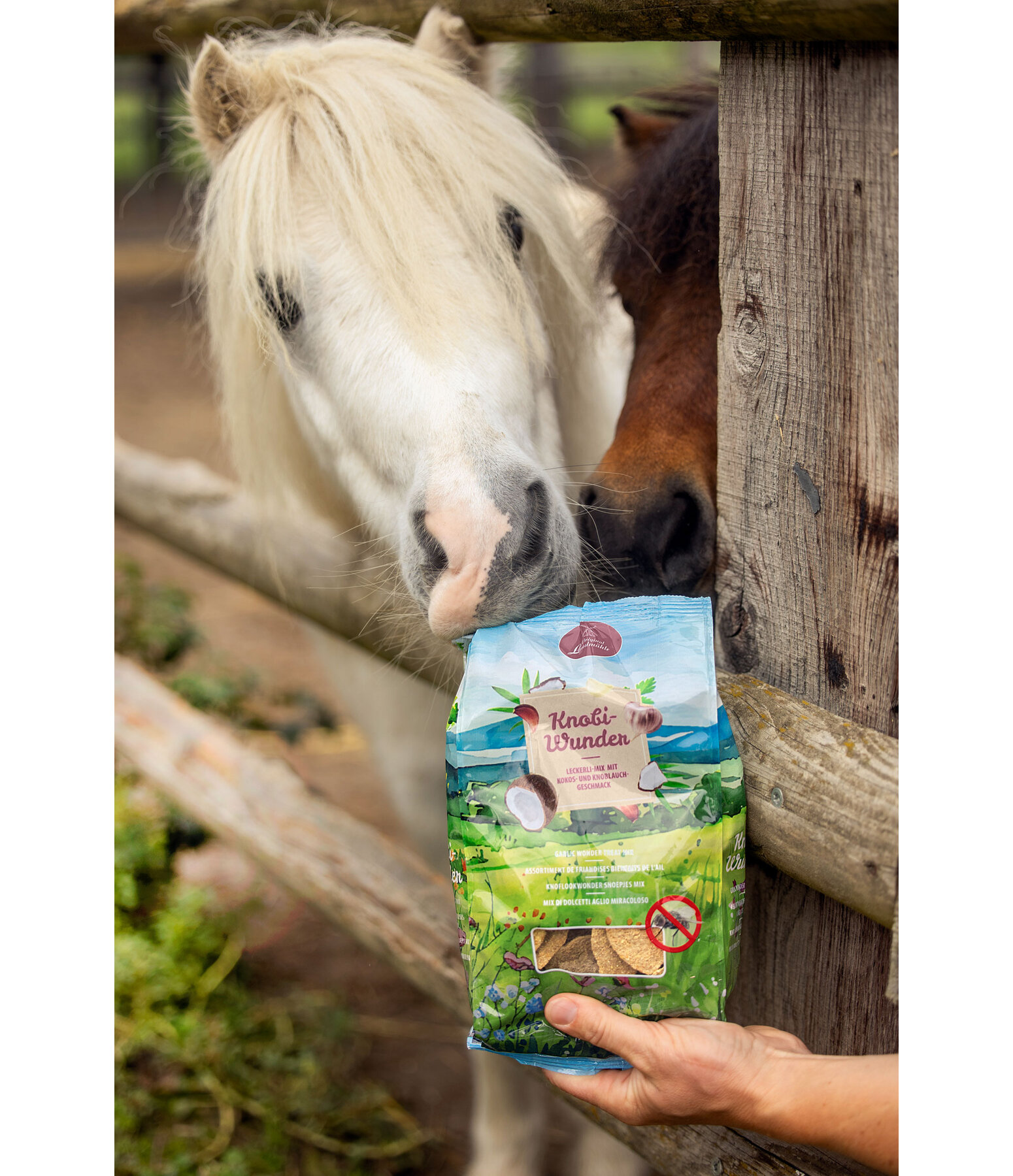 Knobi-Wunder Leckerli-Mix