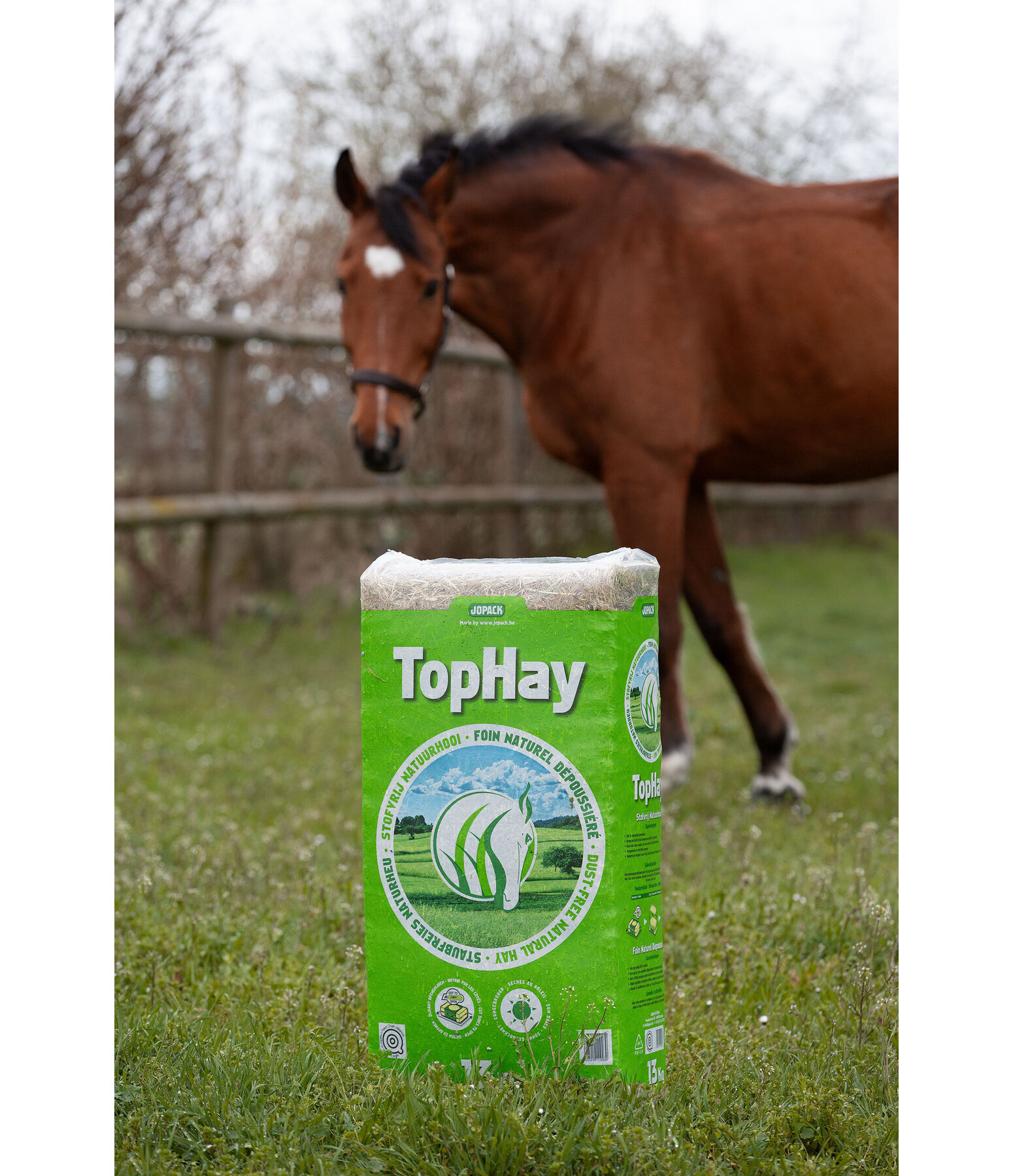 Heu TopHay