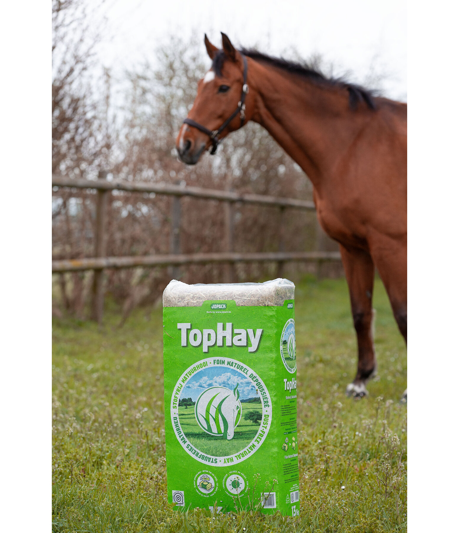 Heu TopHay