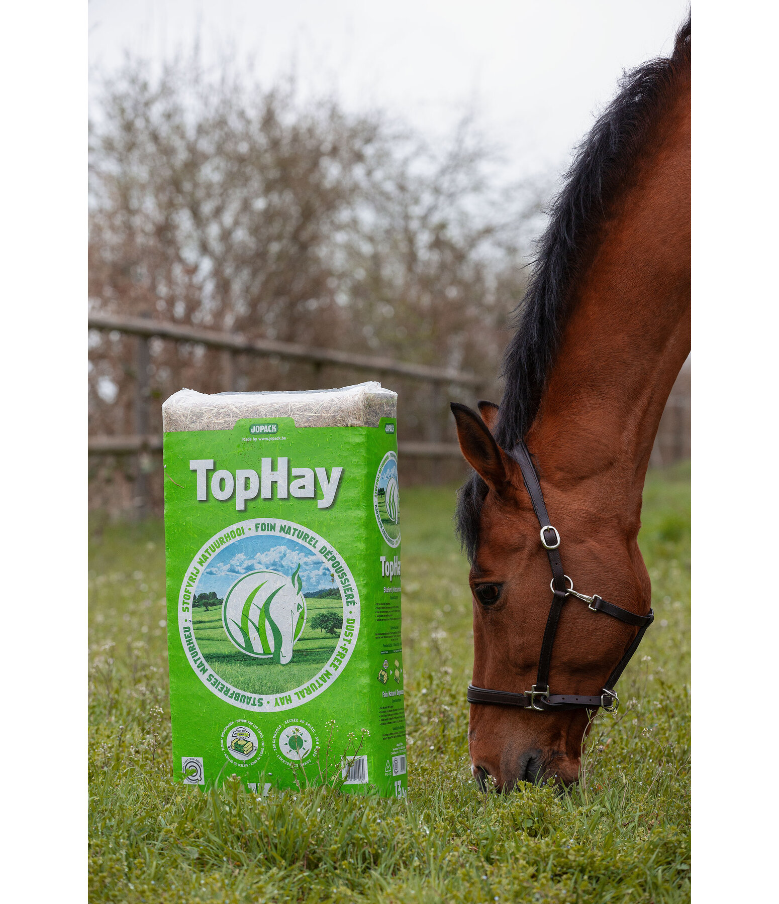 Heu TopHay