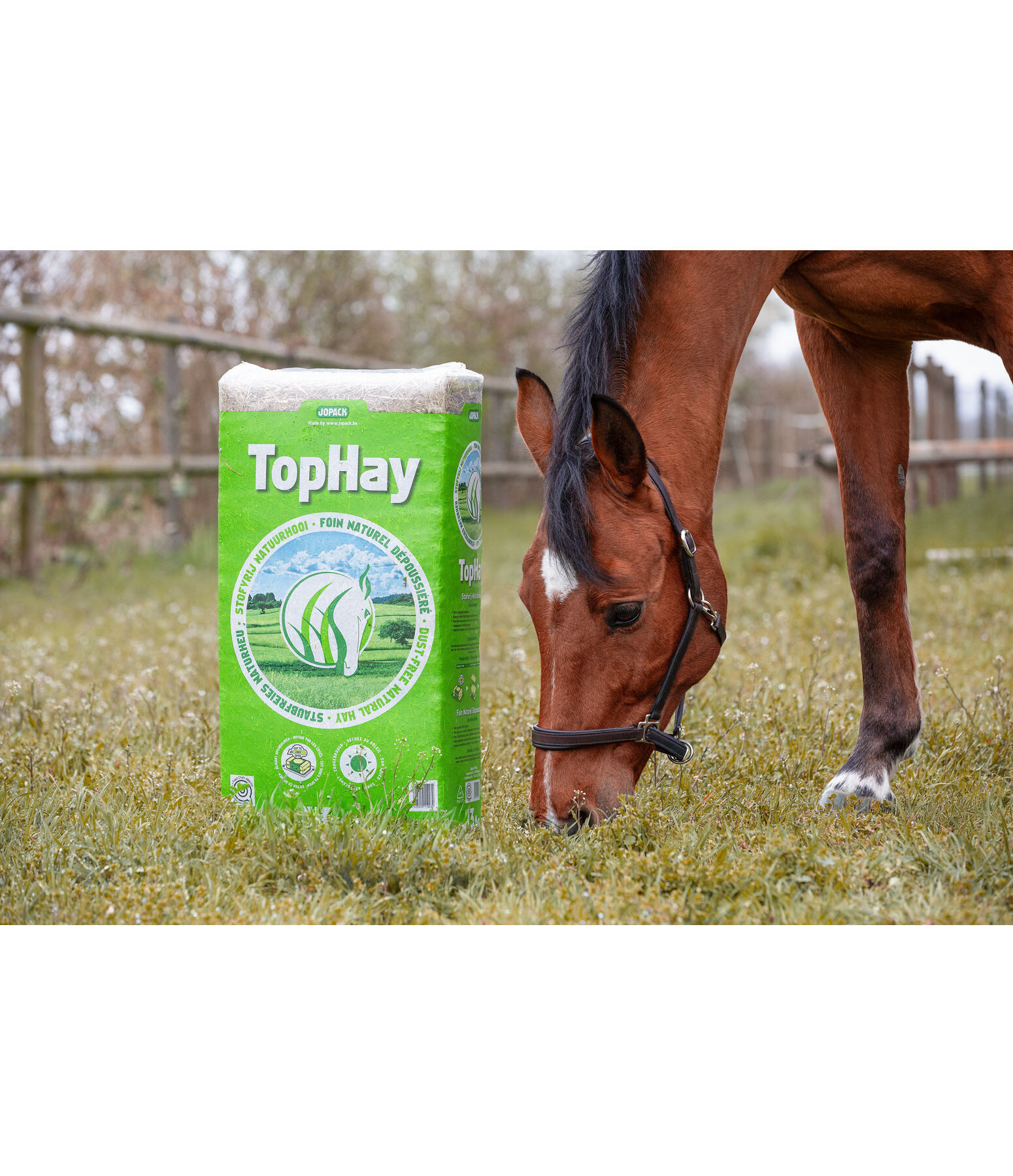 Heu TopHay