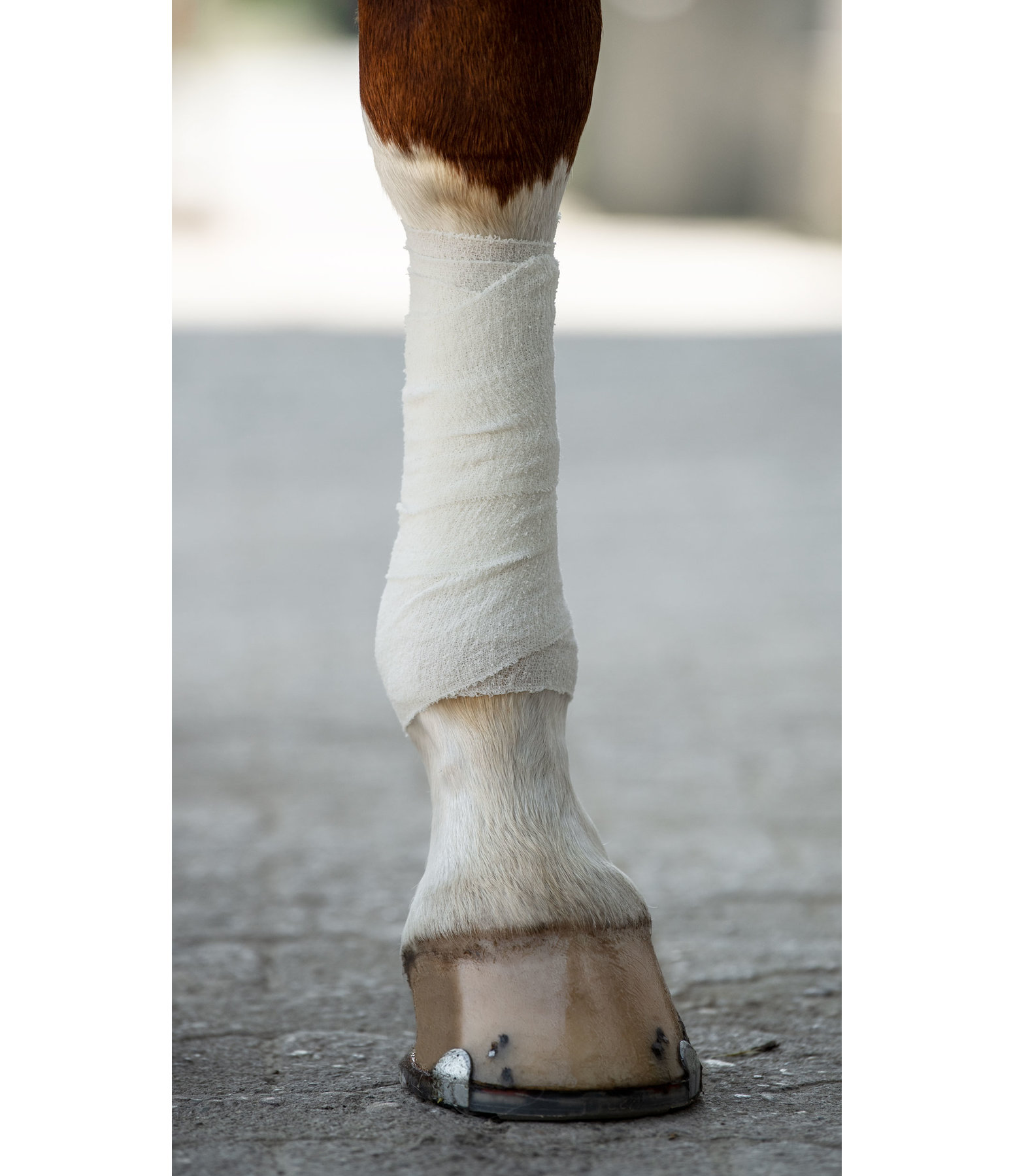 Kühl-Bandage