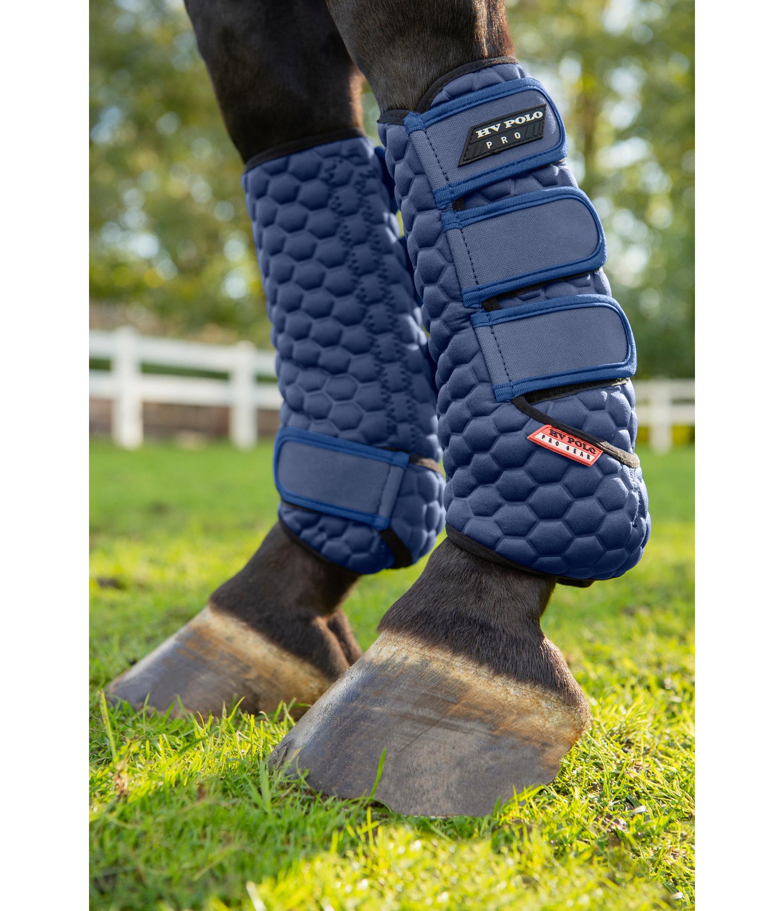 Dressurgamaschen Rubels