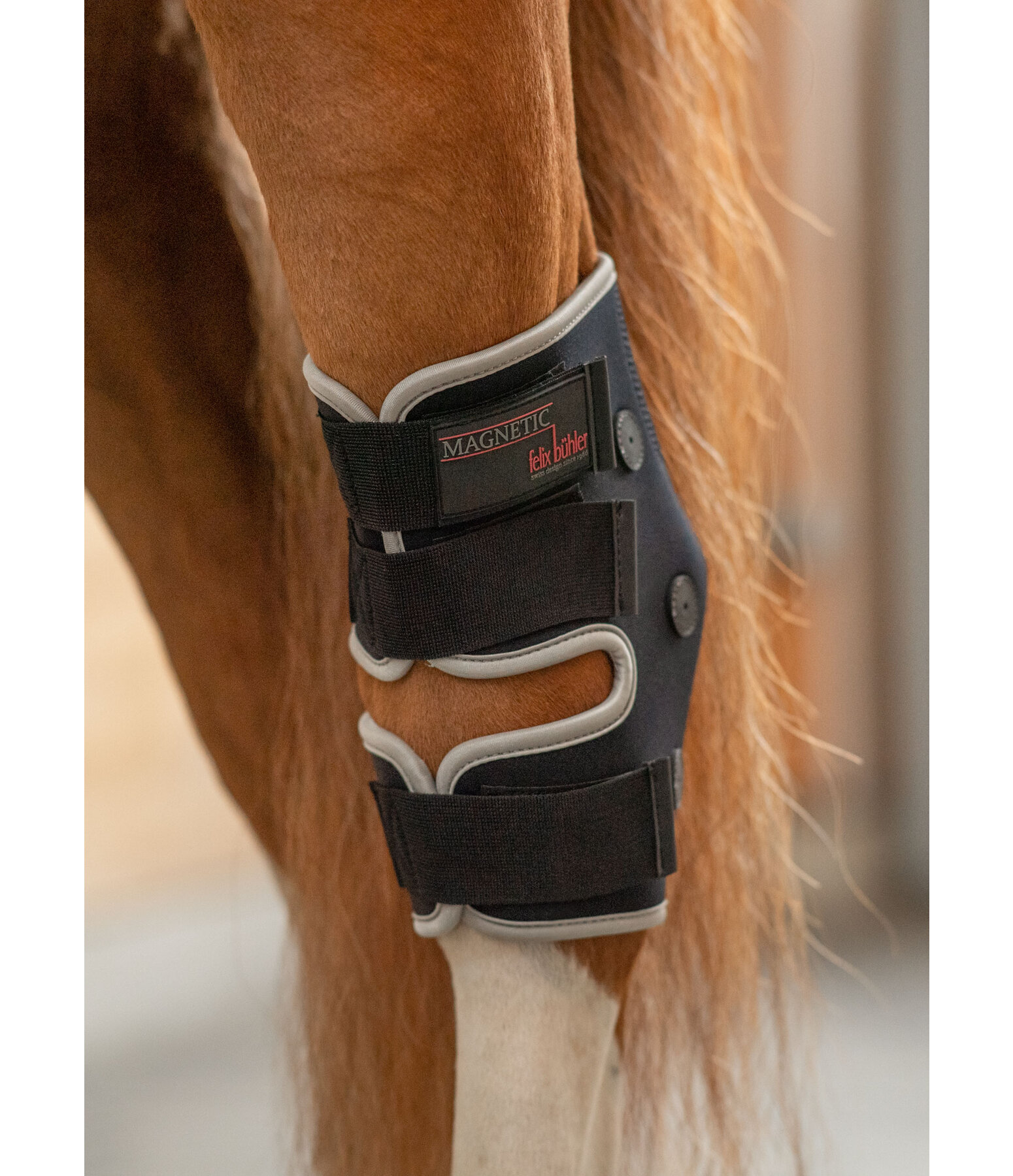 Bande réfléchissante pour casque - Kramer Paardensport