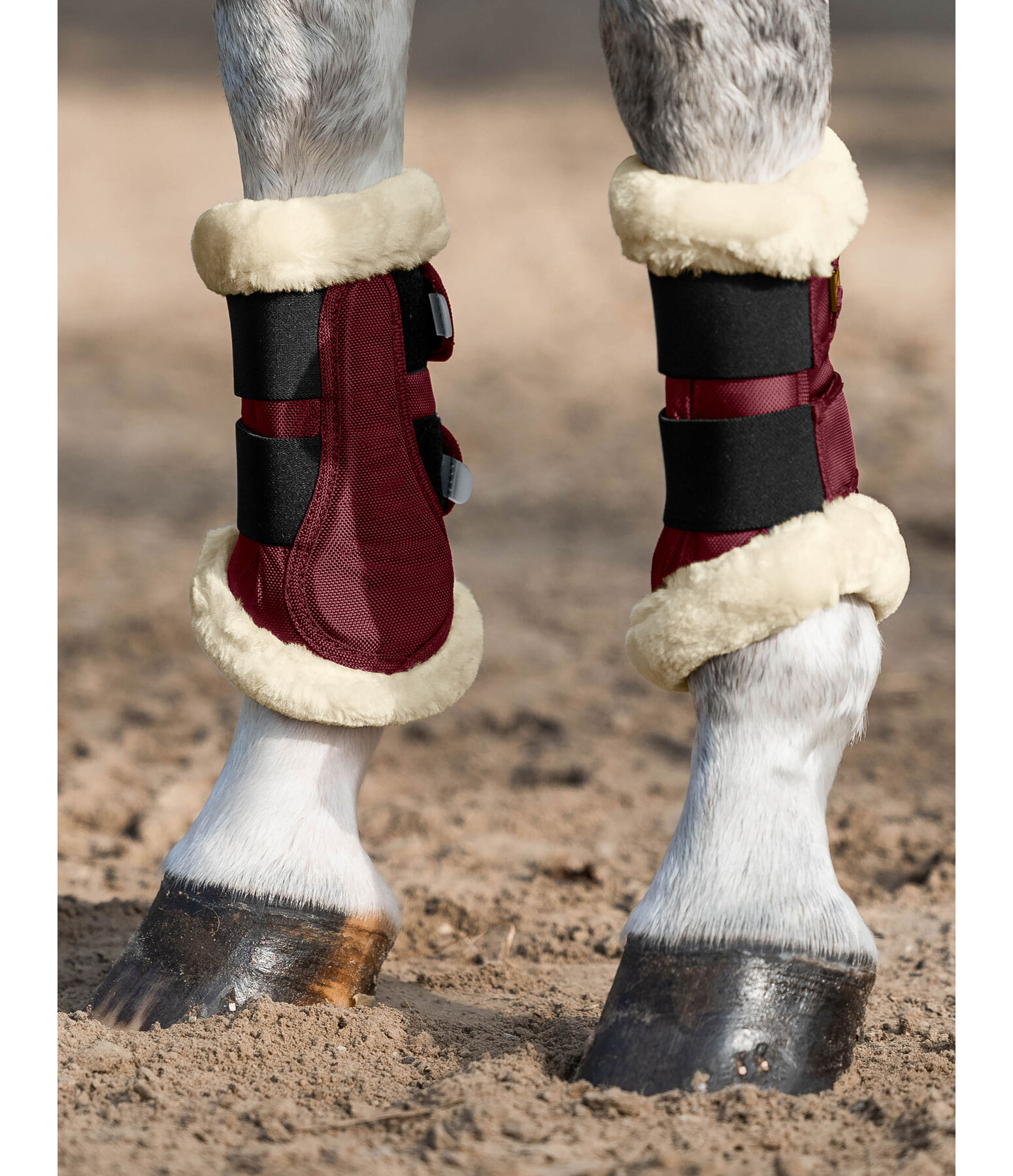 Teddyfleece-Dressurgamaschen Essential, Vorderbeine