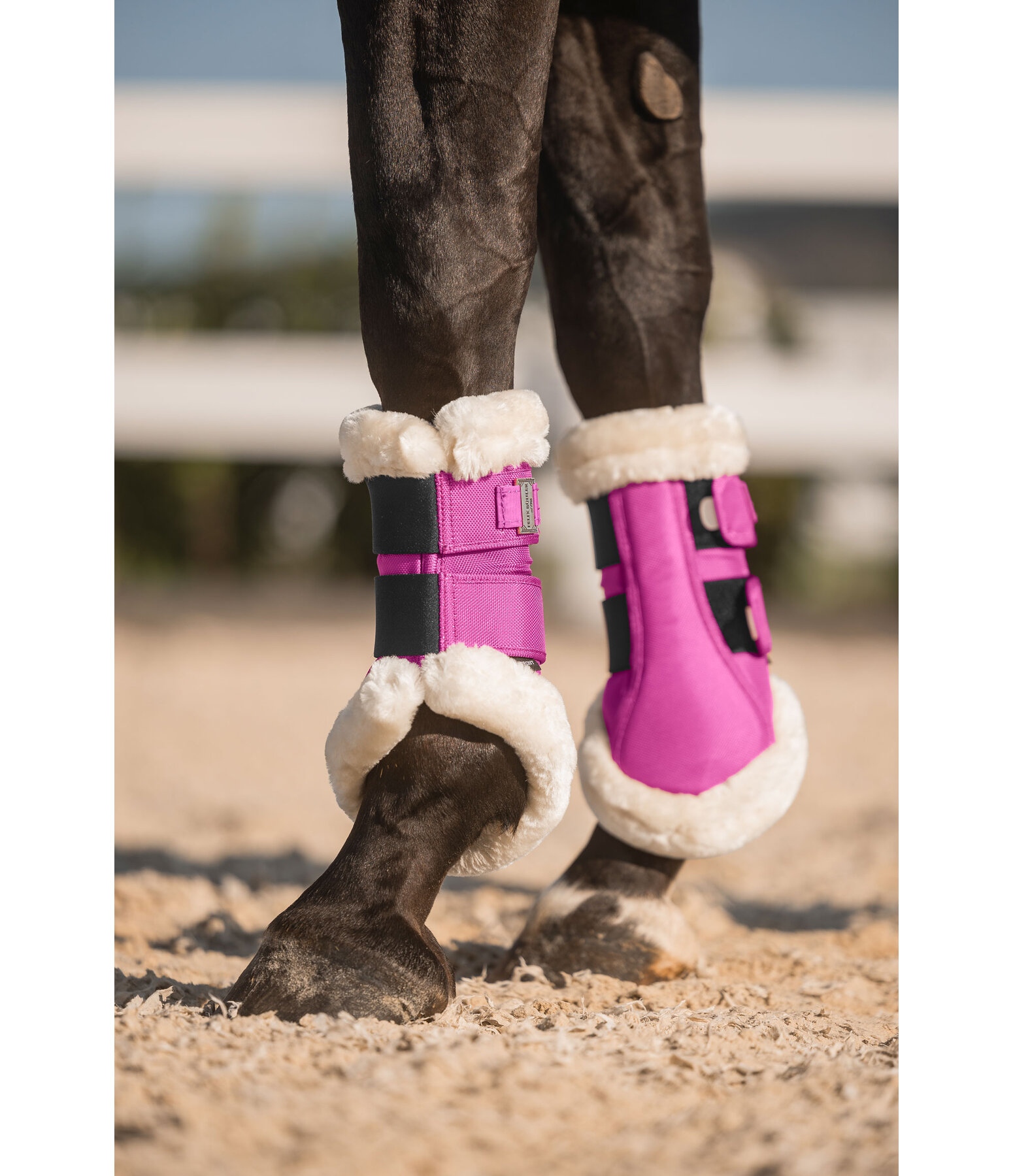 Teddyfleece-Dressurgamaschen Essential, Vorderbeine