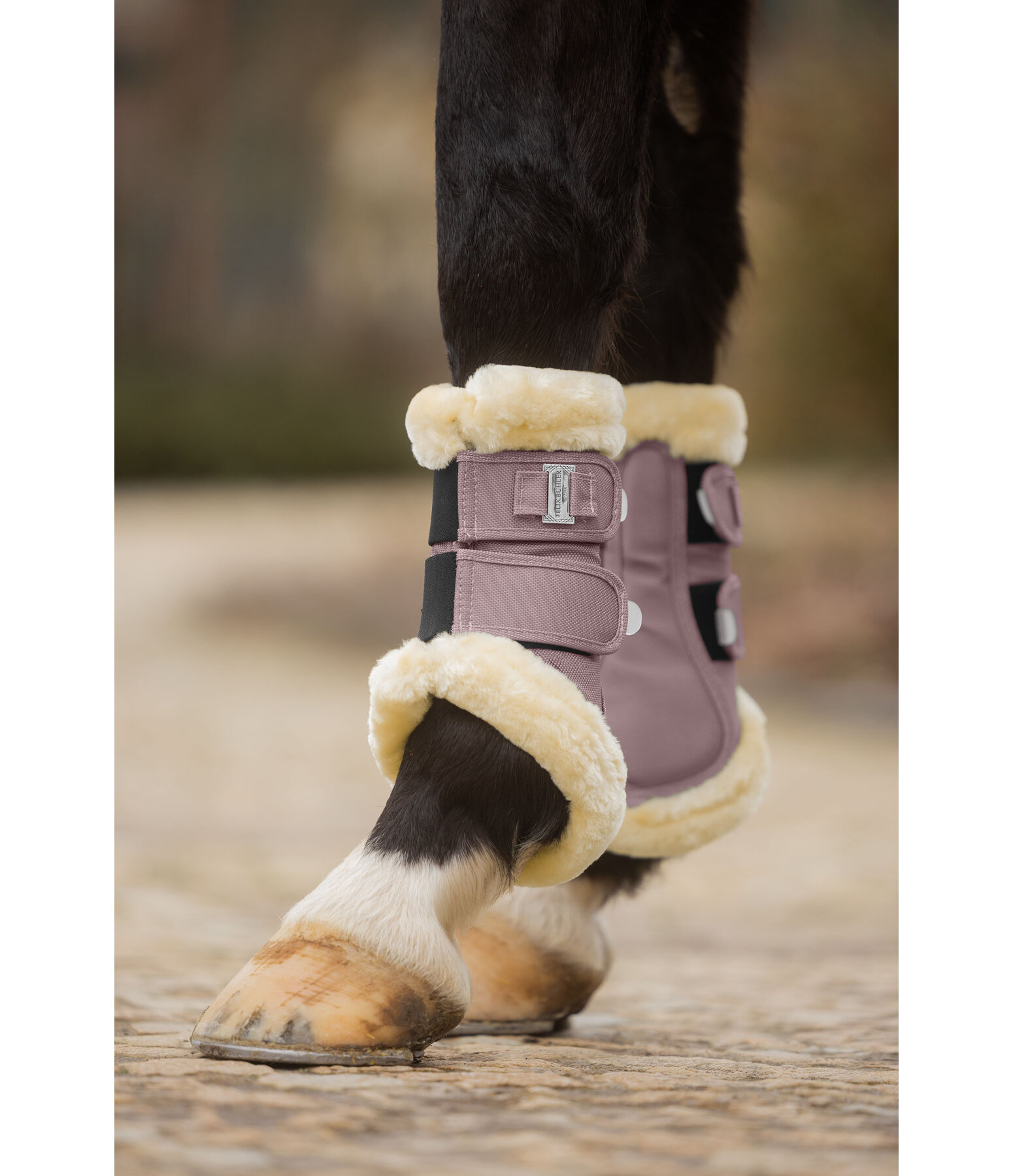 Teddyfleece-Dressurgamaschen Essential, Vorderbeine