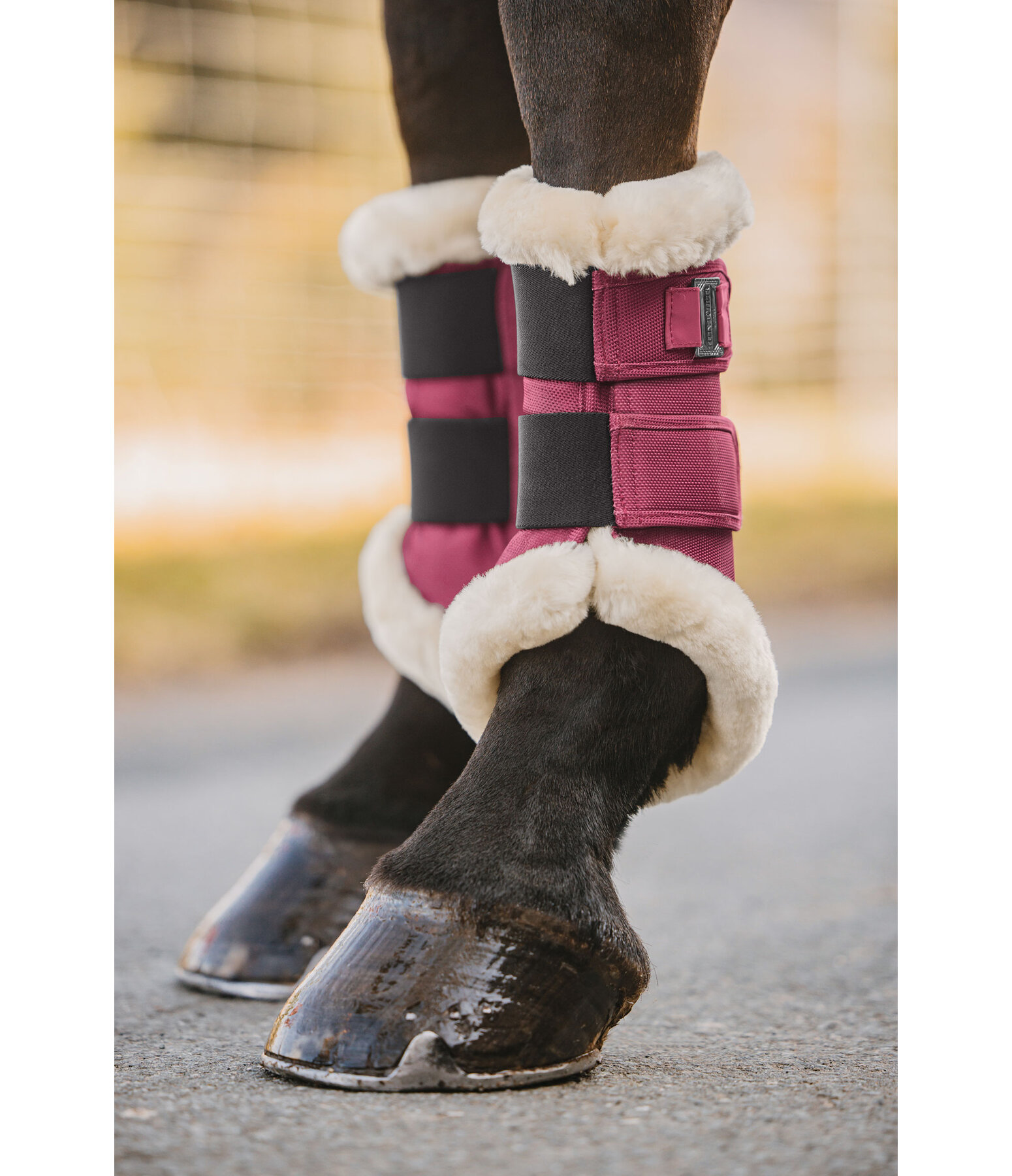 Teddyfleece-Dressurgamaschen Essential, Vorderbeine