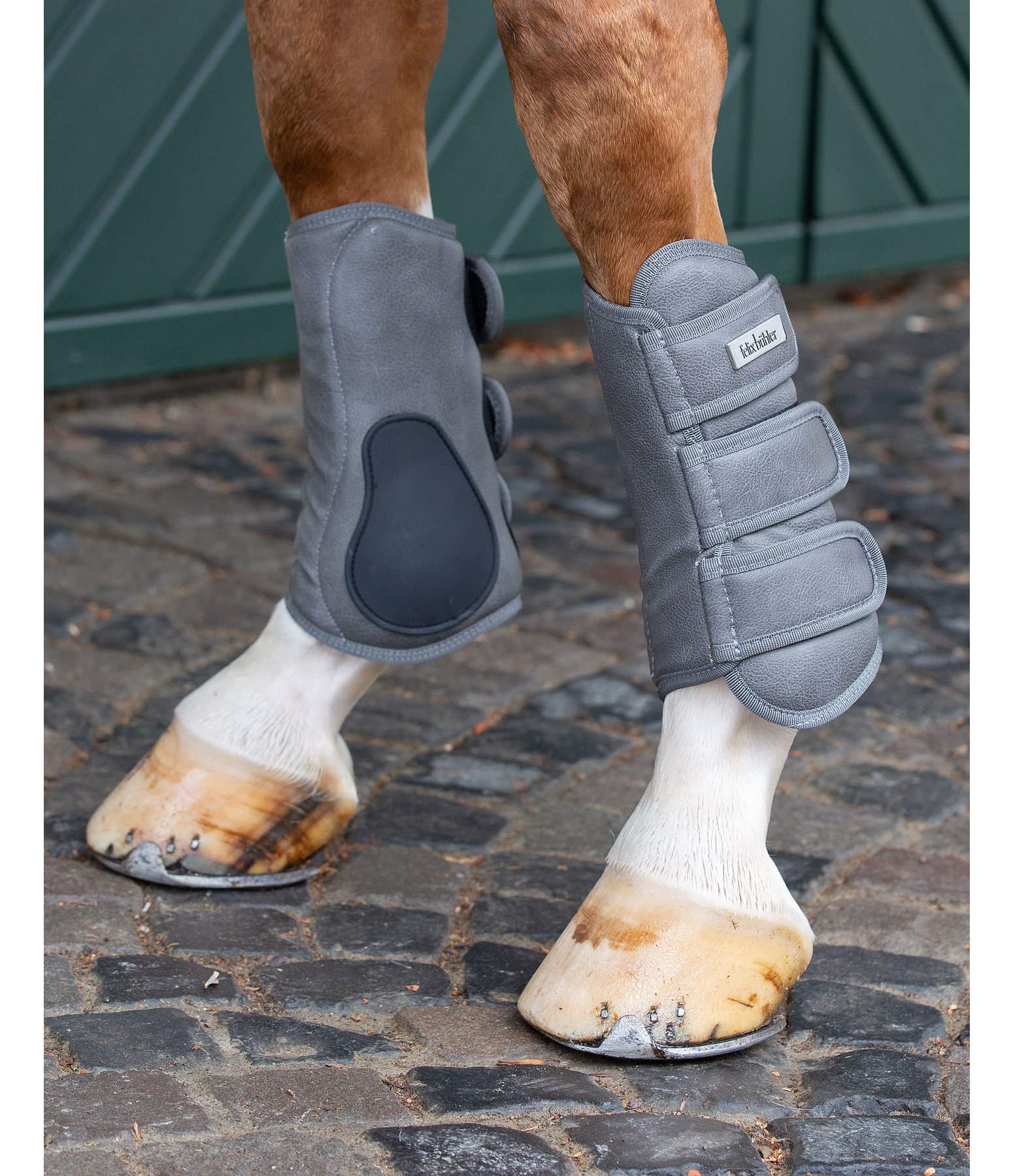 Dressurgamaschen Passage II mit TPU-Streifschutz, Vorderbeine