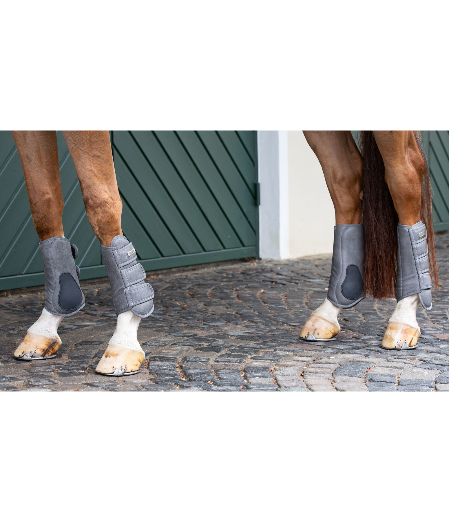 Dressurgamaschen Passage II mit TPU-Streifschutz, Vorderbeine