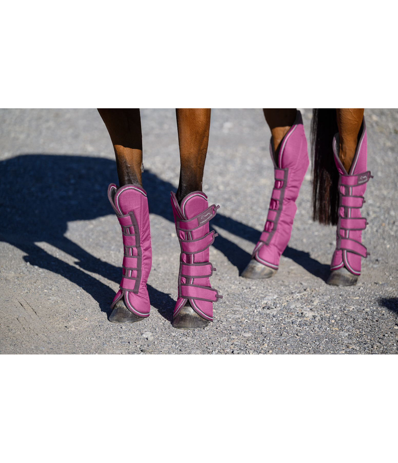 Transportgamaschen Kilian