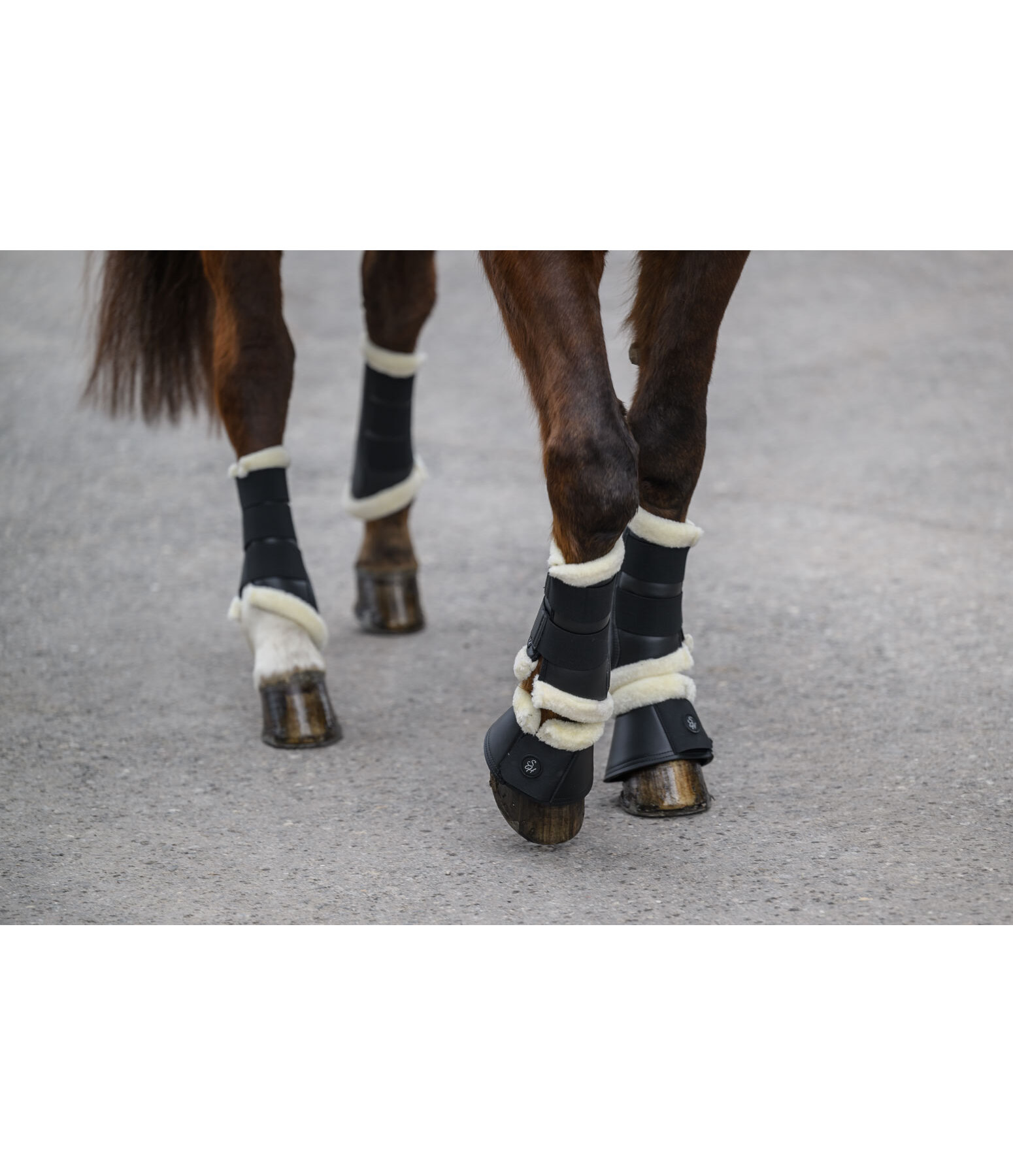 Teddyfleece-Dressurgamaschen Classic, Vorderbeine