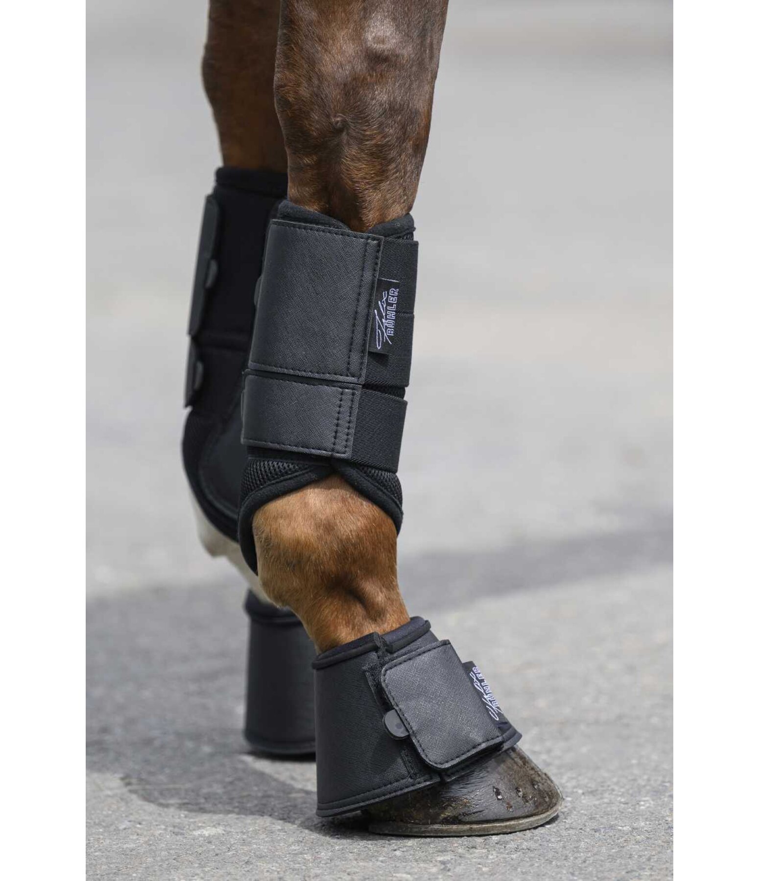 Gamaschen Active, Vorderbeine