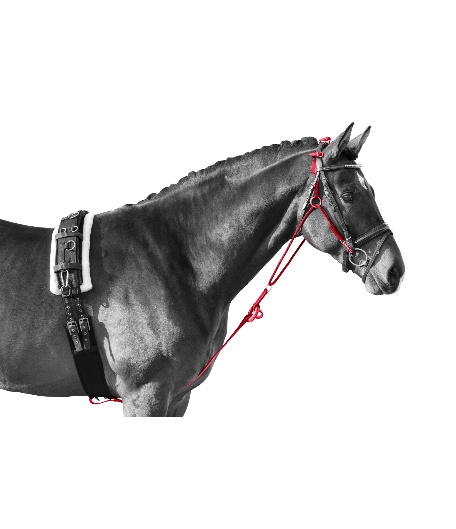 Chambon Hilfszügel Krämer Pferdesport