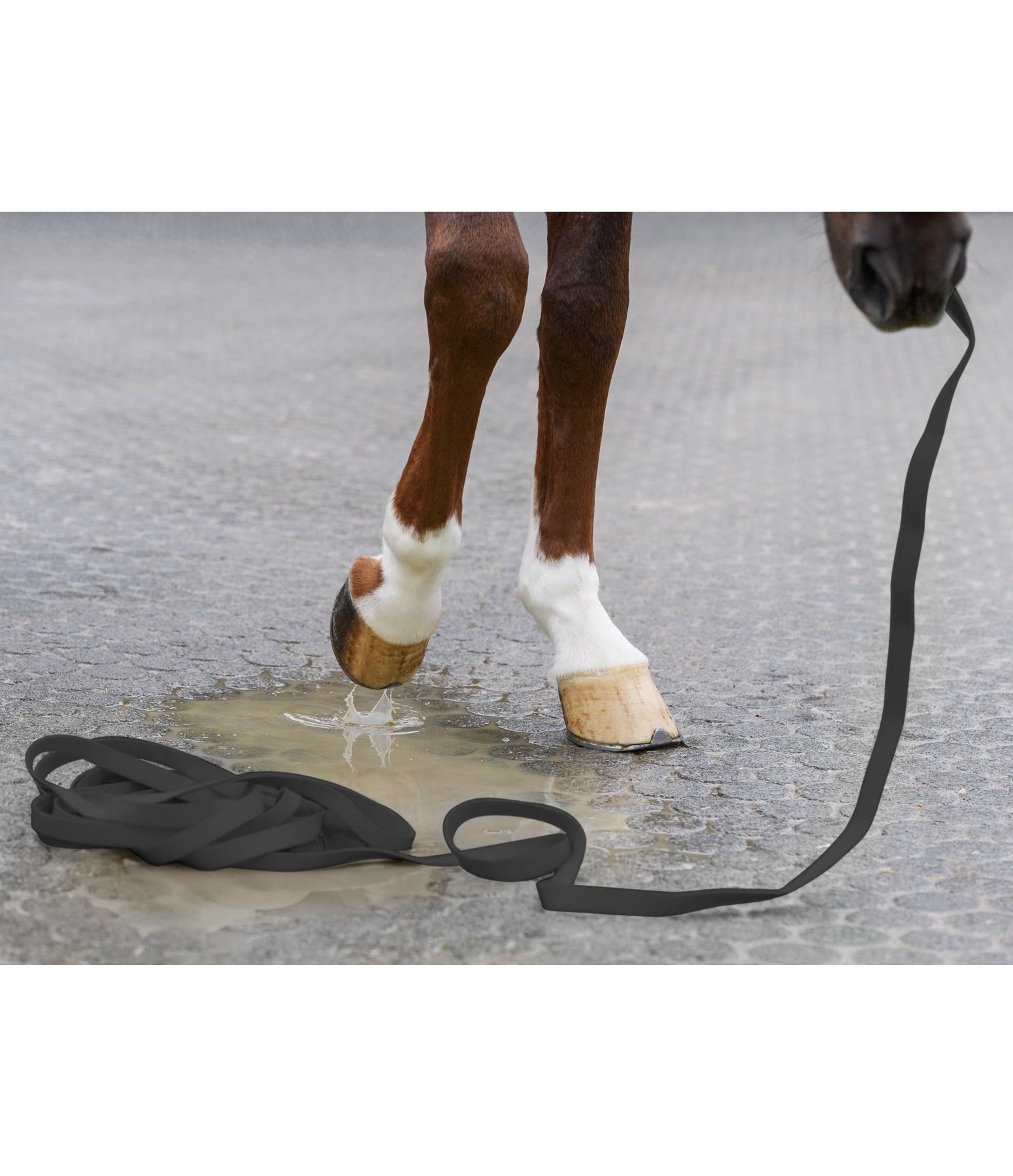 Longe Durable