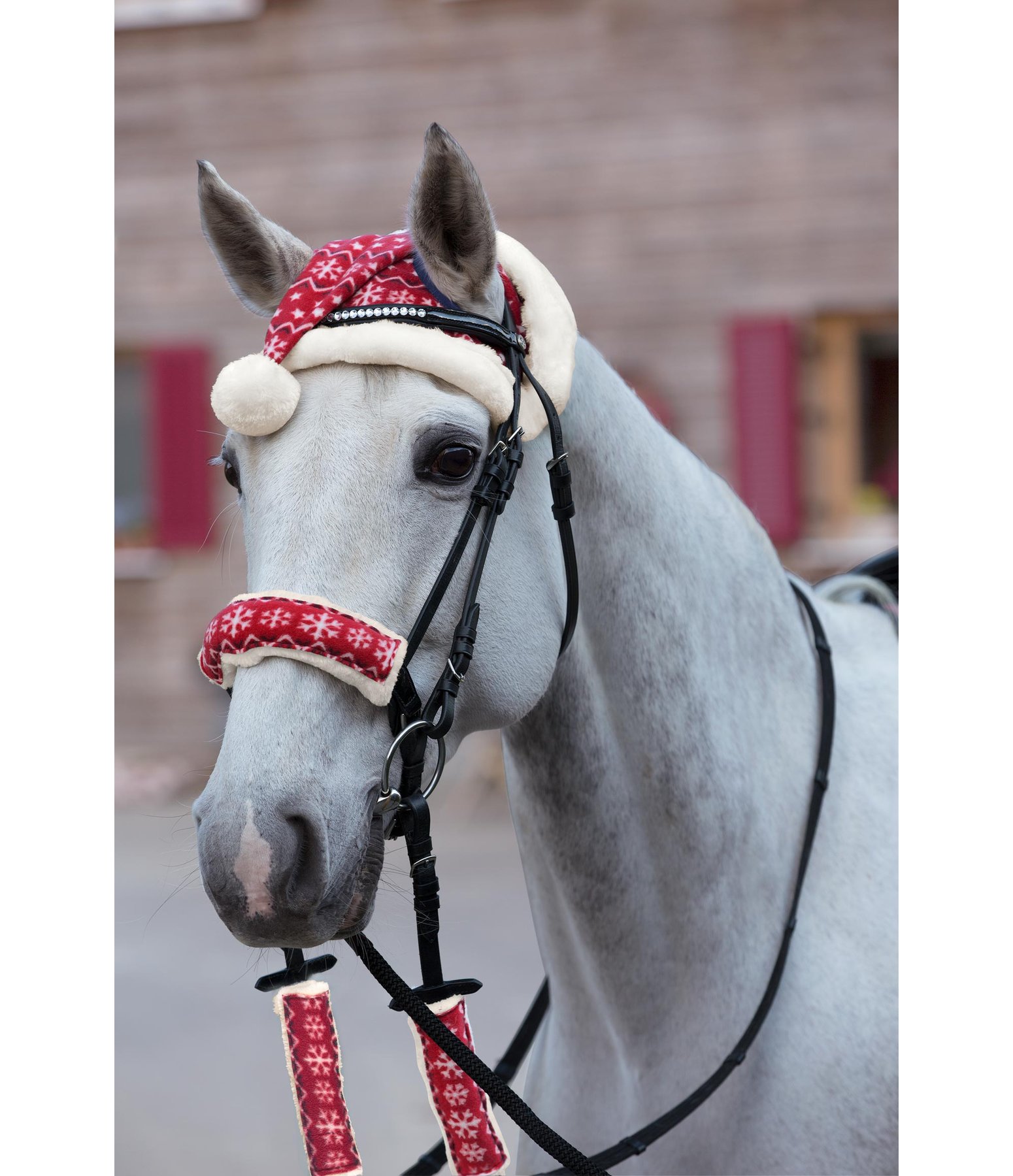 Pferdemütze Xmas Time - Geschenkartikel - Krämer Pferdesport Pferdemütze Xmas Time - Geschenkartikel - Krämer Pferdesport