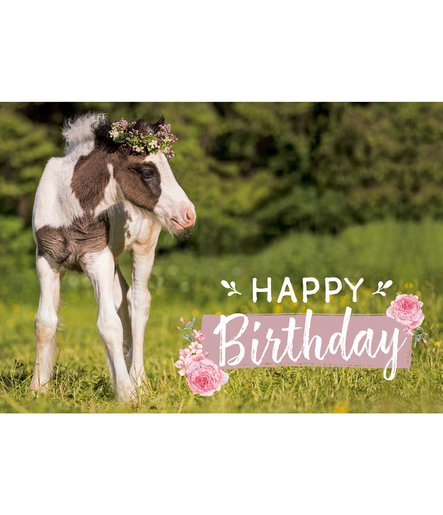 Grußkarte Happy Birthday VI