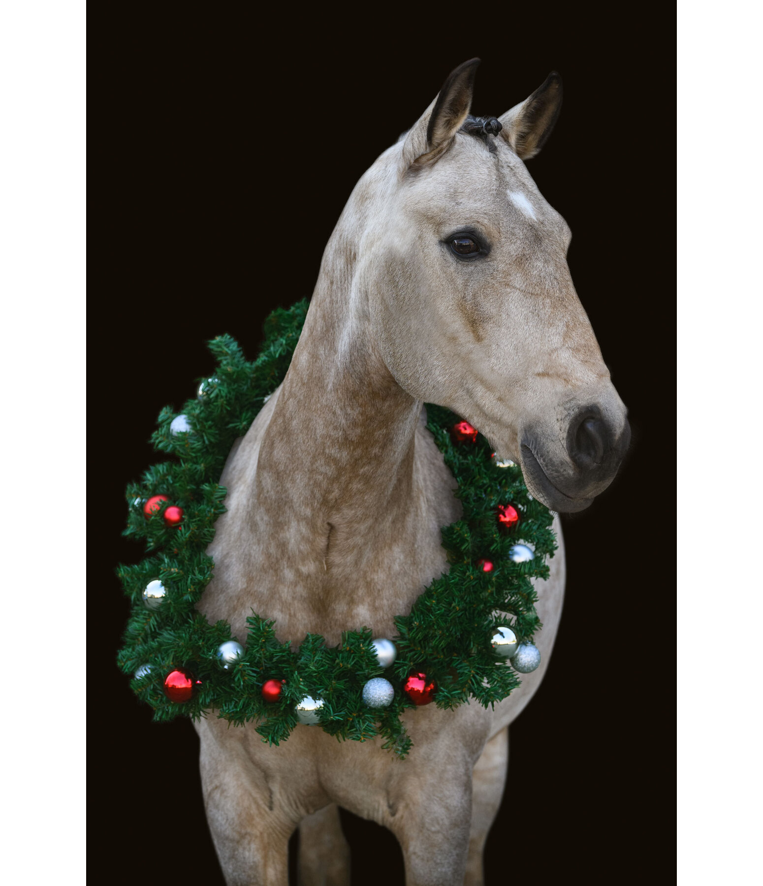 Christmas Collection Pferde-Weihnachtskranz